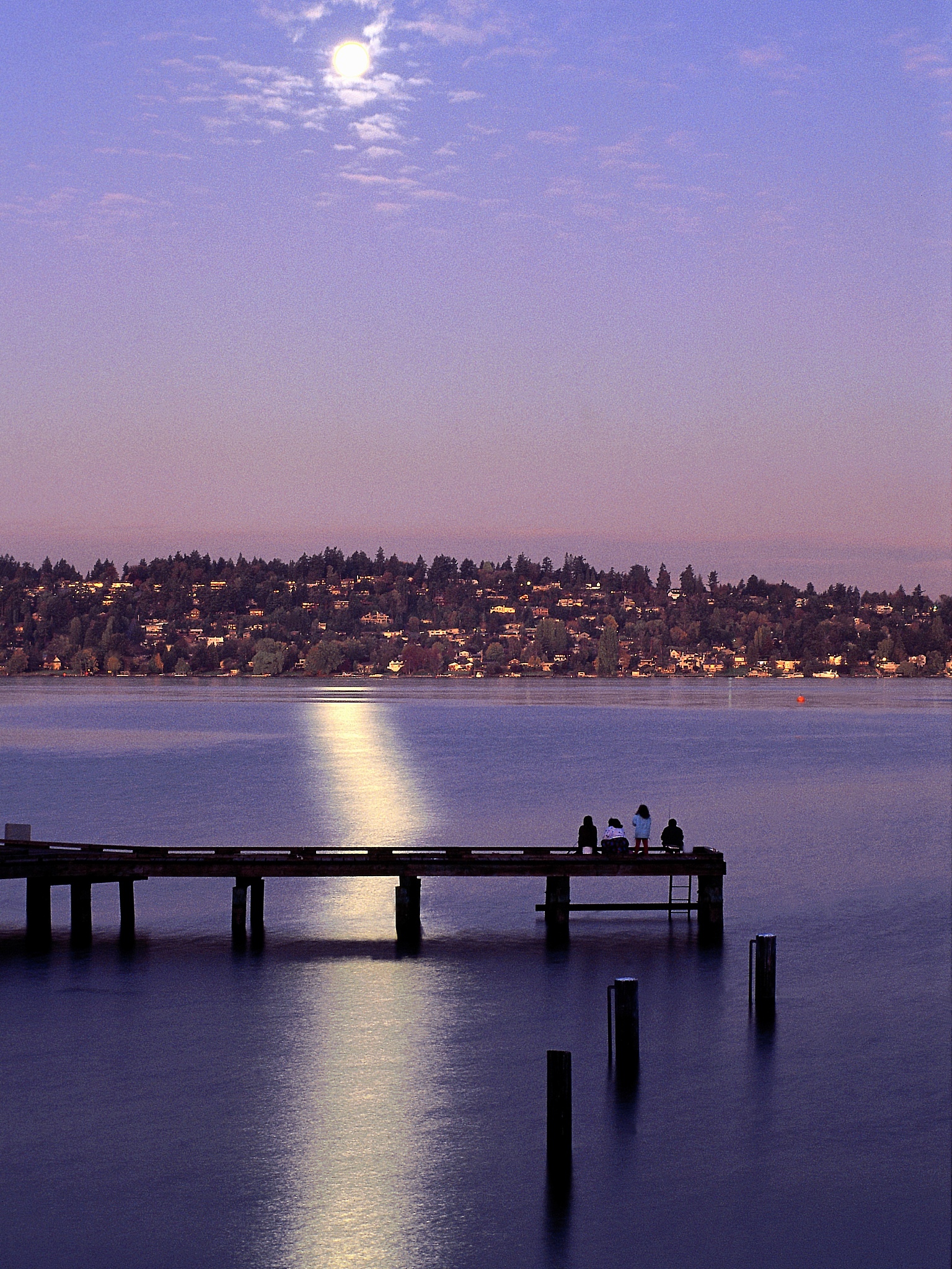 10个类似平静的词汇，表达宁静与祥和