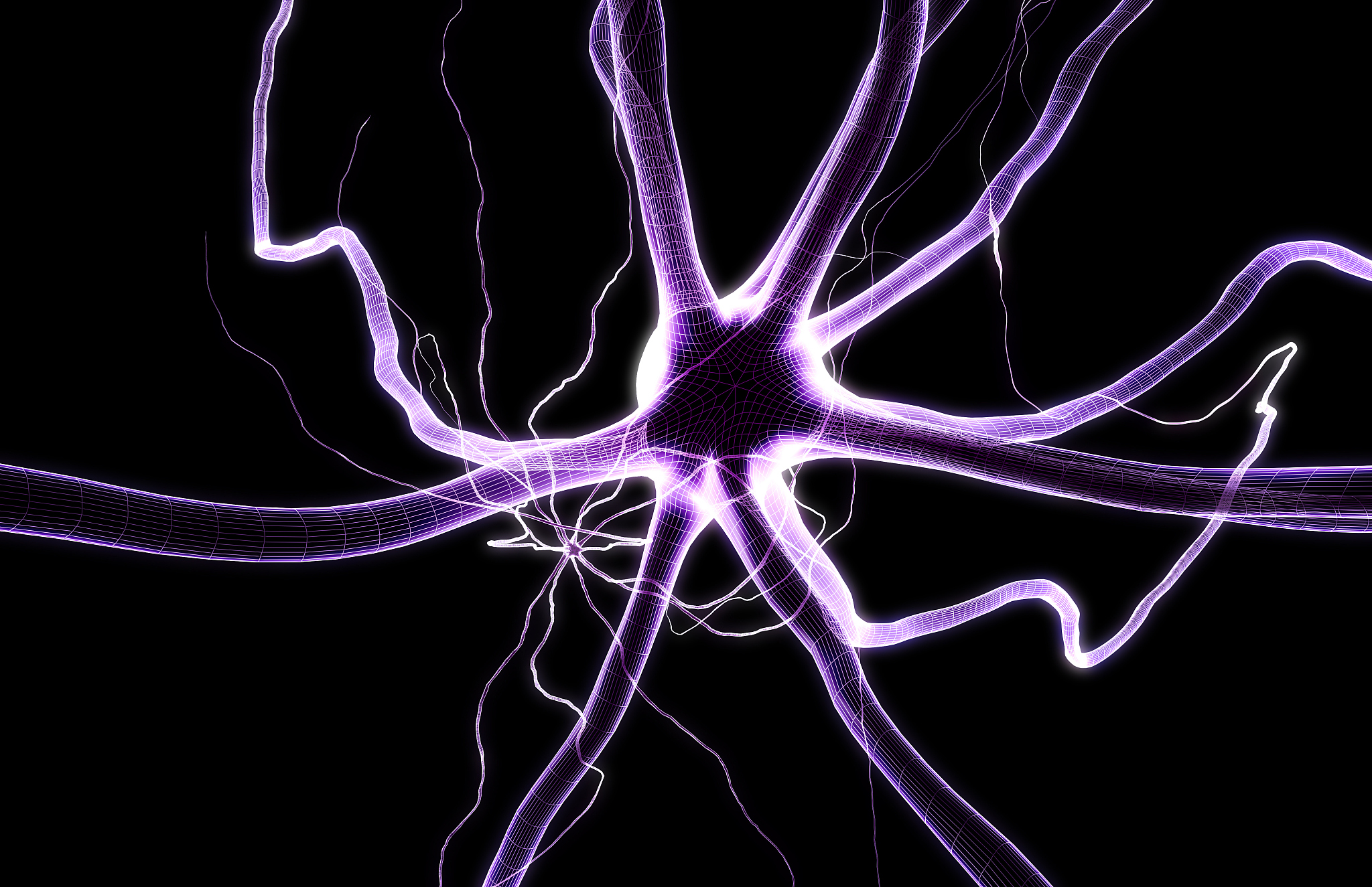 神经元与神经网络：结构、功能及应用