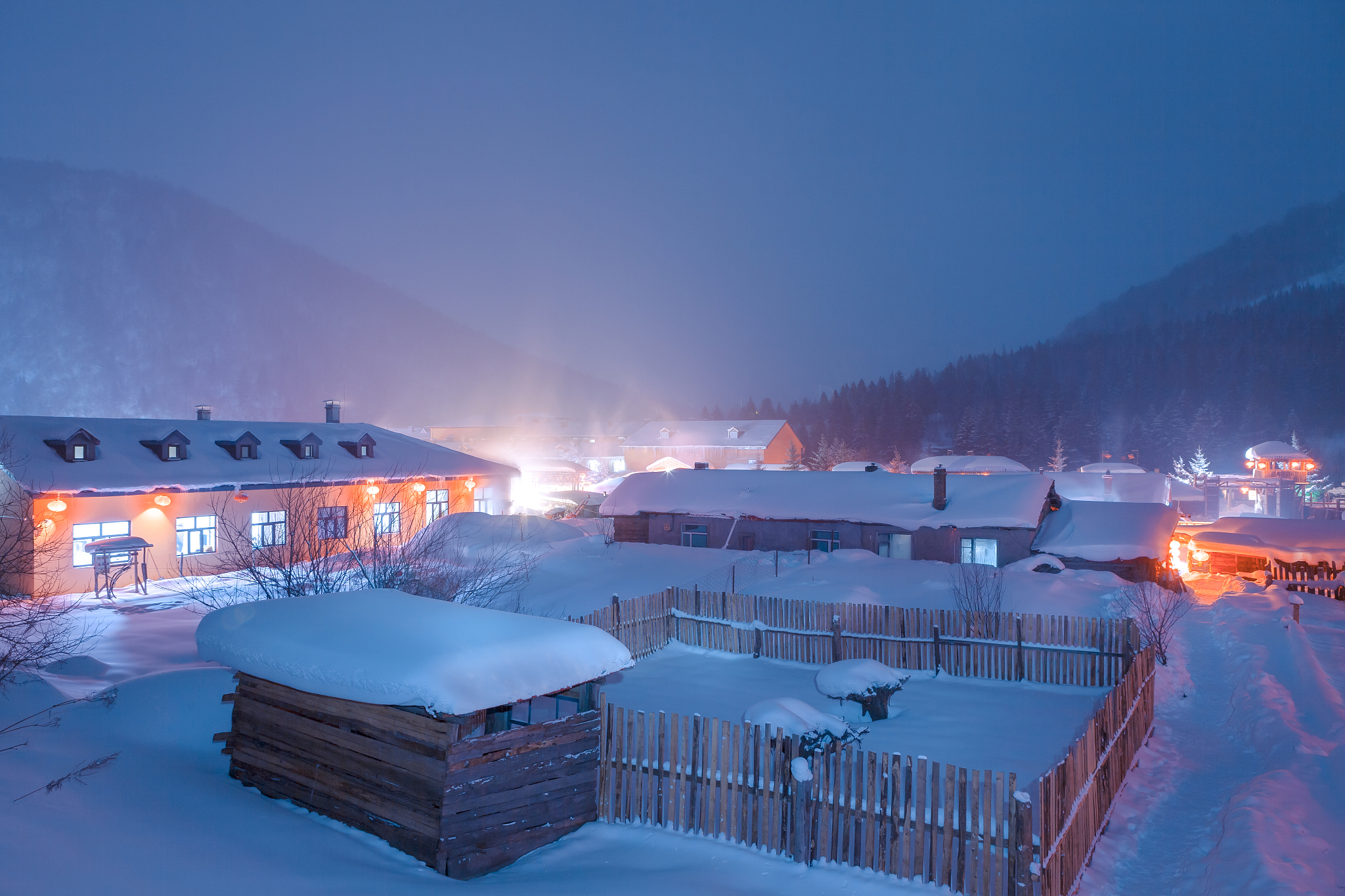 2022年林场员工工作总结