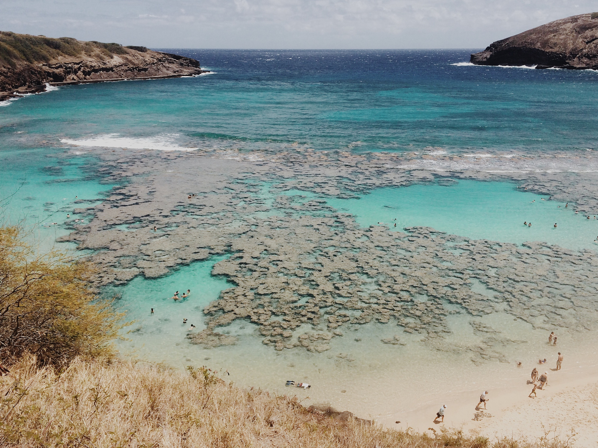 菲利普岛：探索澳大利亚迷人的海岛天堂