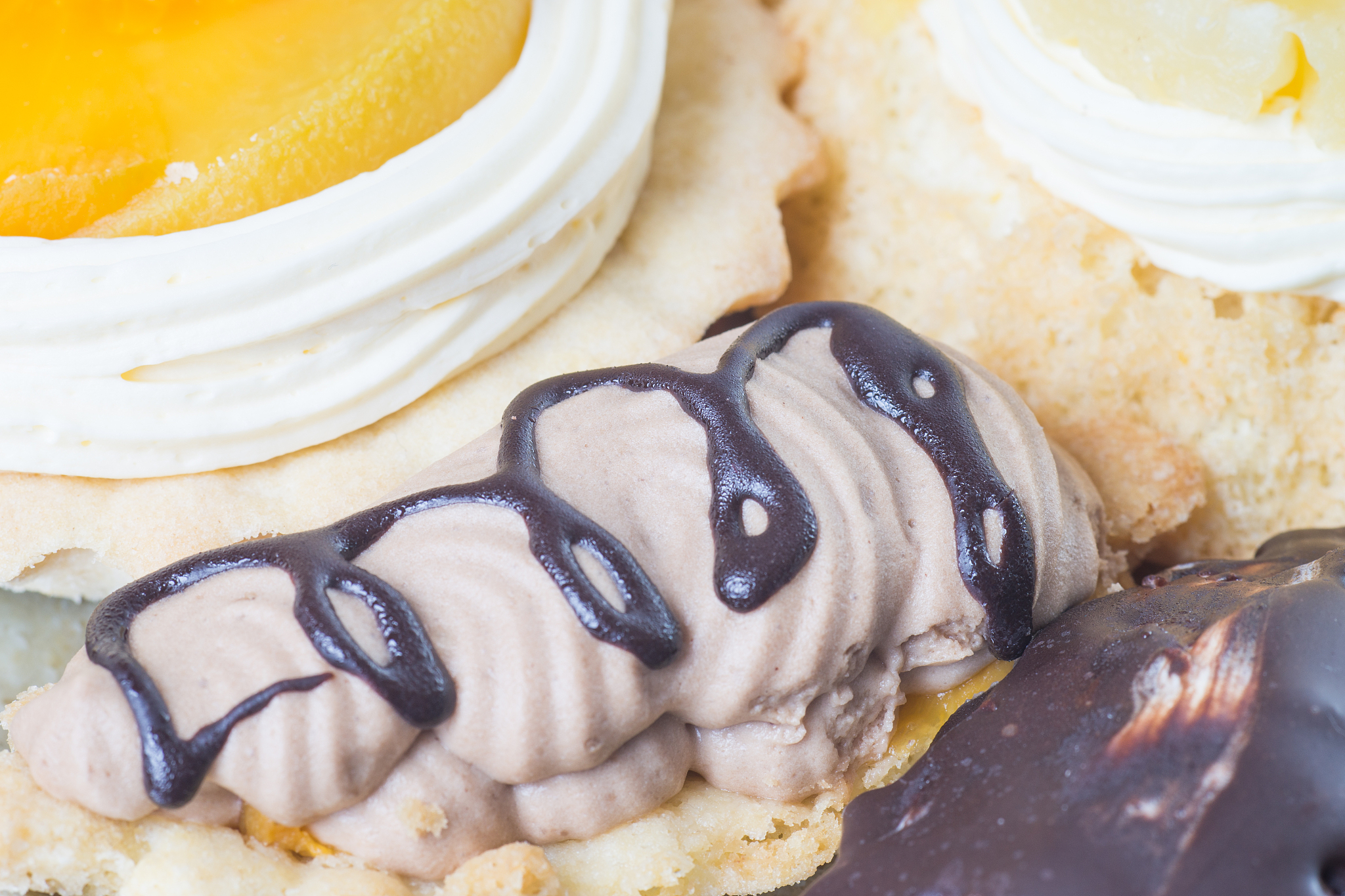 芝士雪豹是什么意思