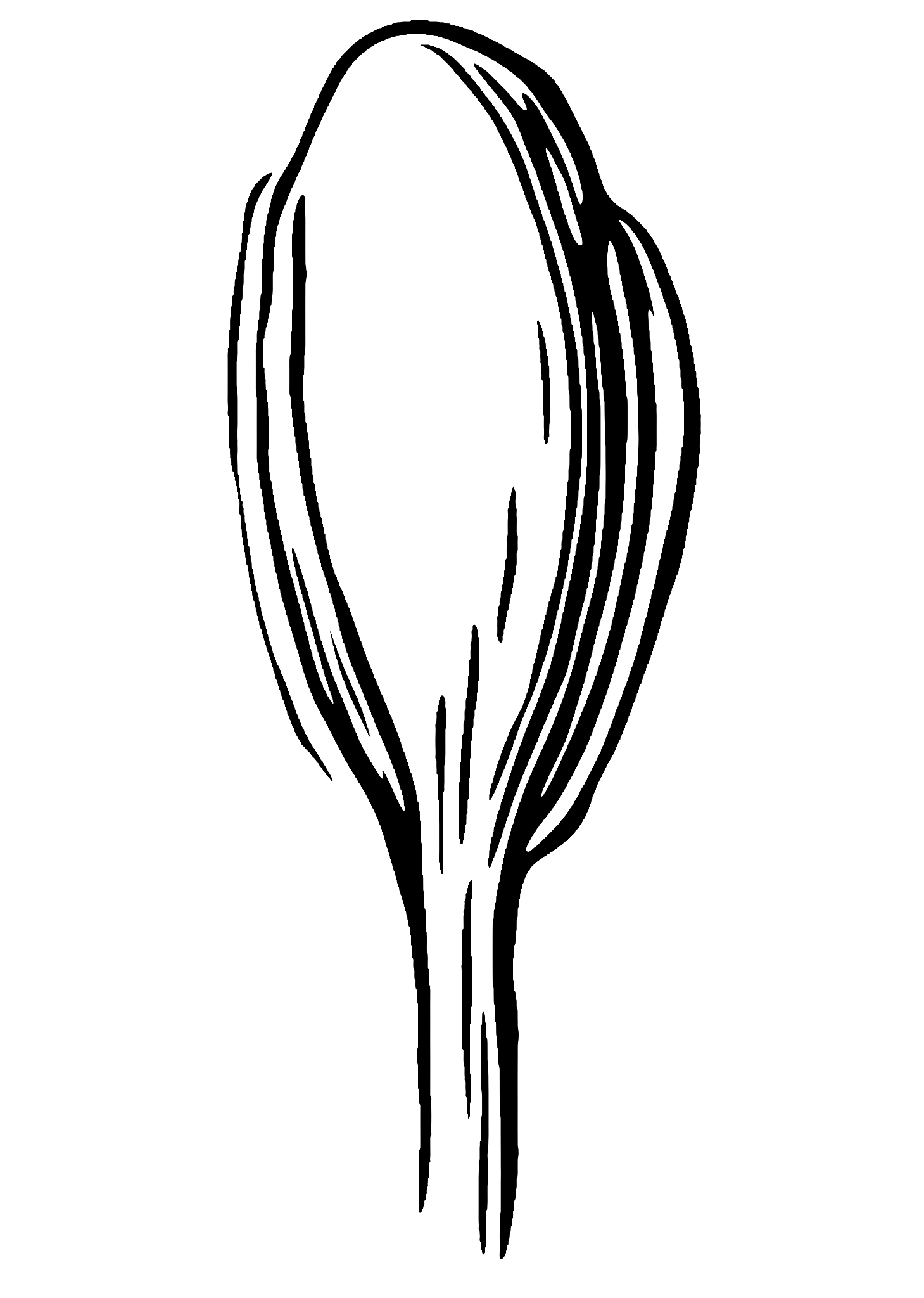 延安大学的生物科学介绍学习哪些课程