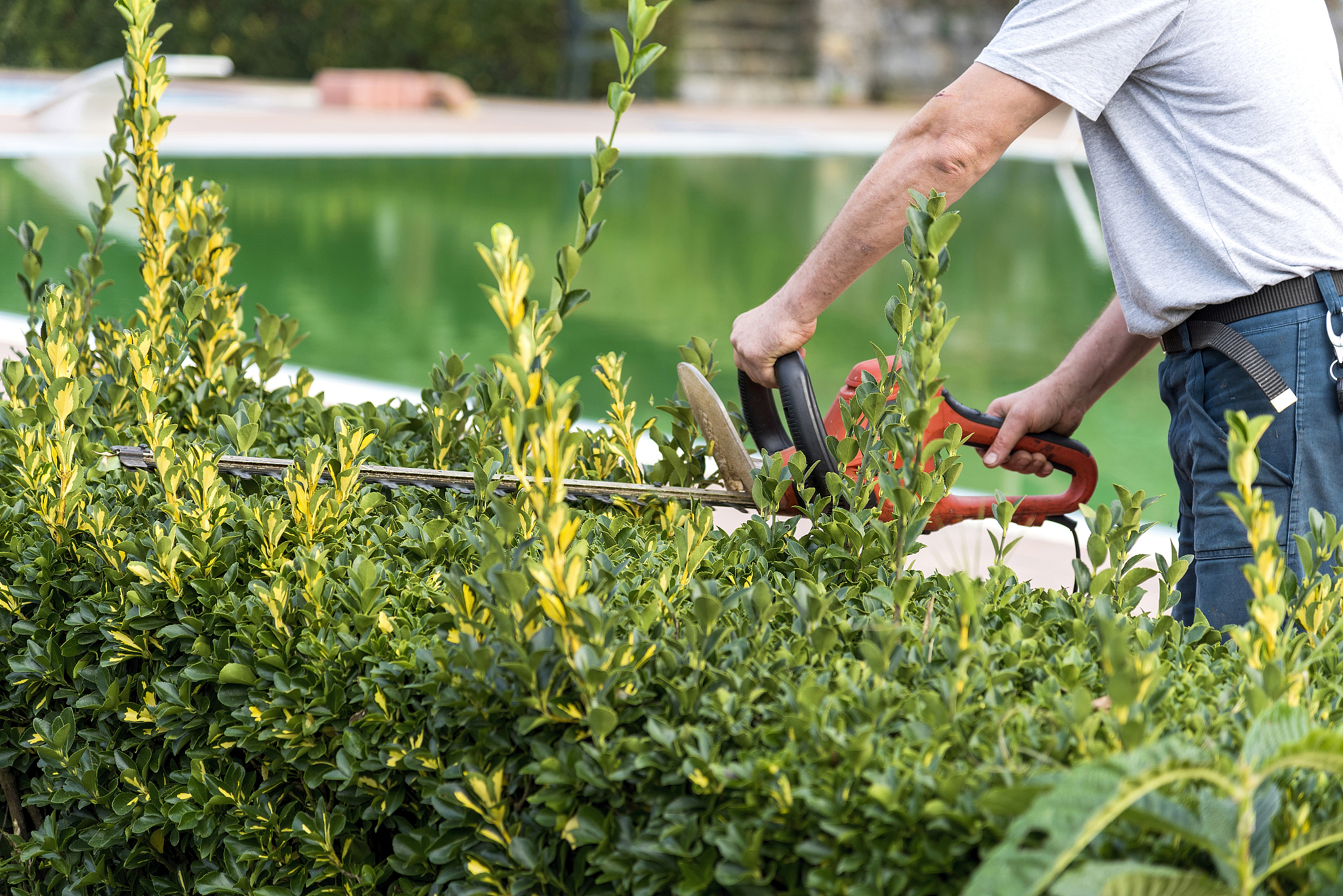 农业机械英语单词中文对照（160个） - 农机词汇大全