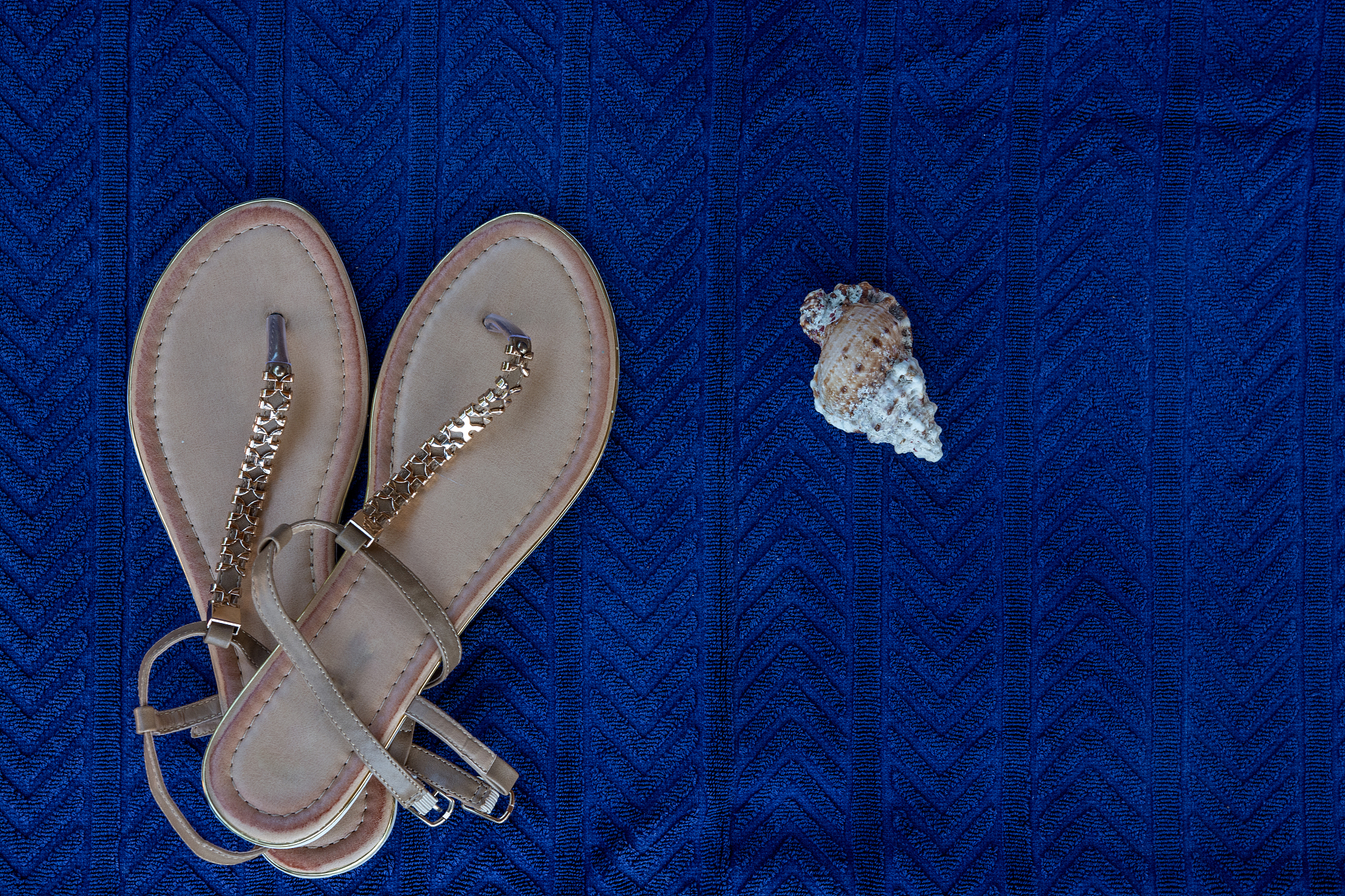 ggplotdataAaescancerexpfill=cancer+ geom_violin+ coord_flip+ scale_fill_manualvalues = colors+ stat_summaryfun=meangeom = point shape = 19 size = 2 color = black+ theme_bw+ geom_hl