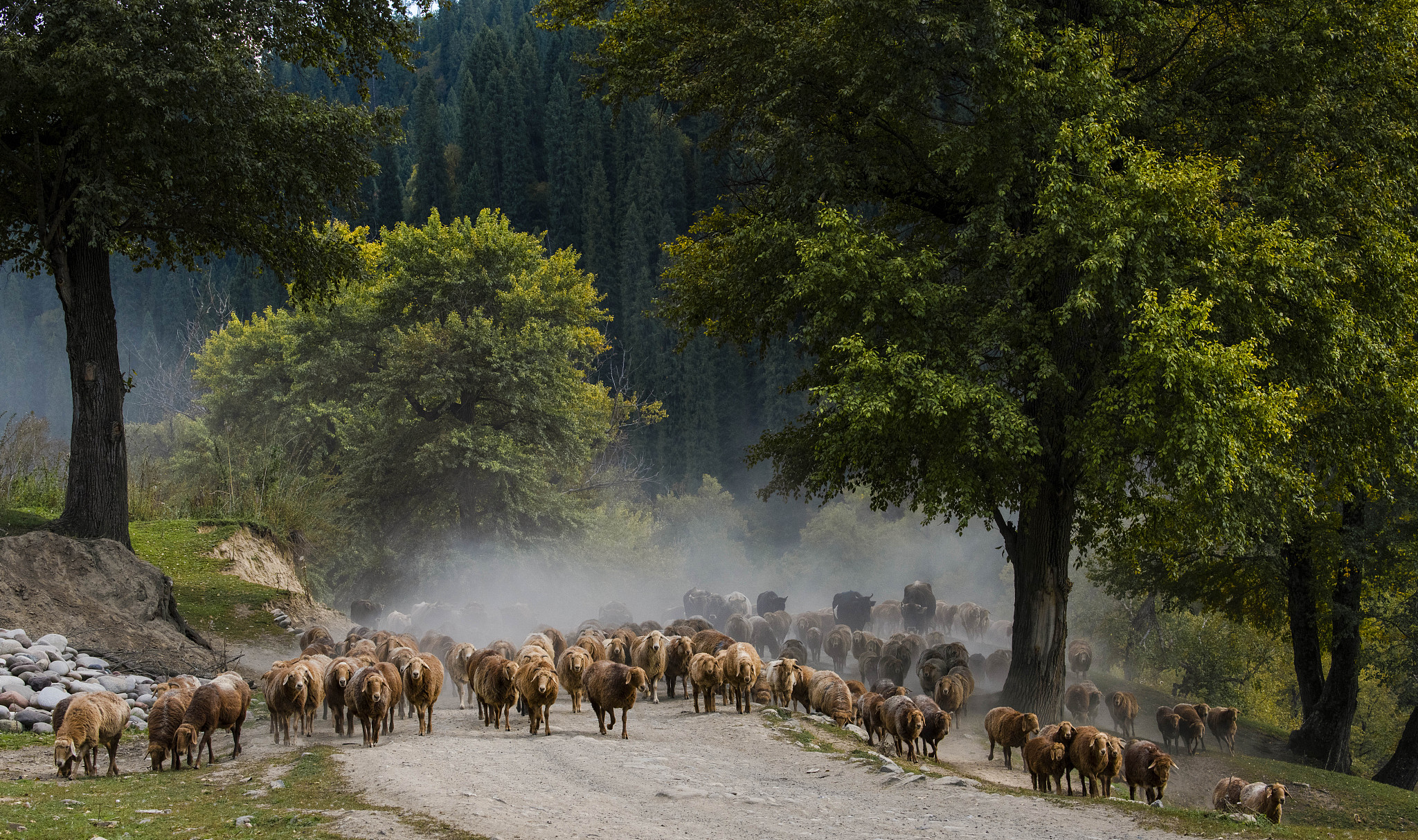 二维动画时空转场技术探究：设计观点与实践指南
