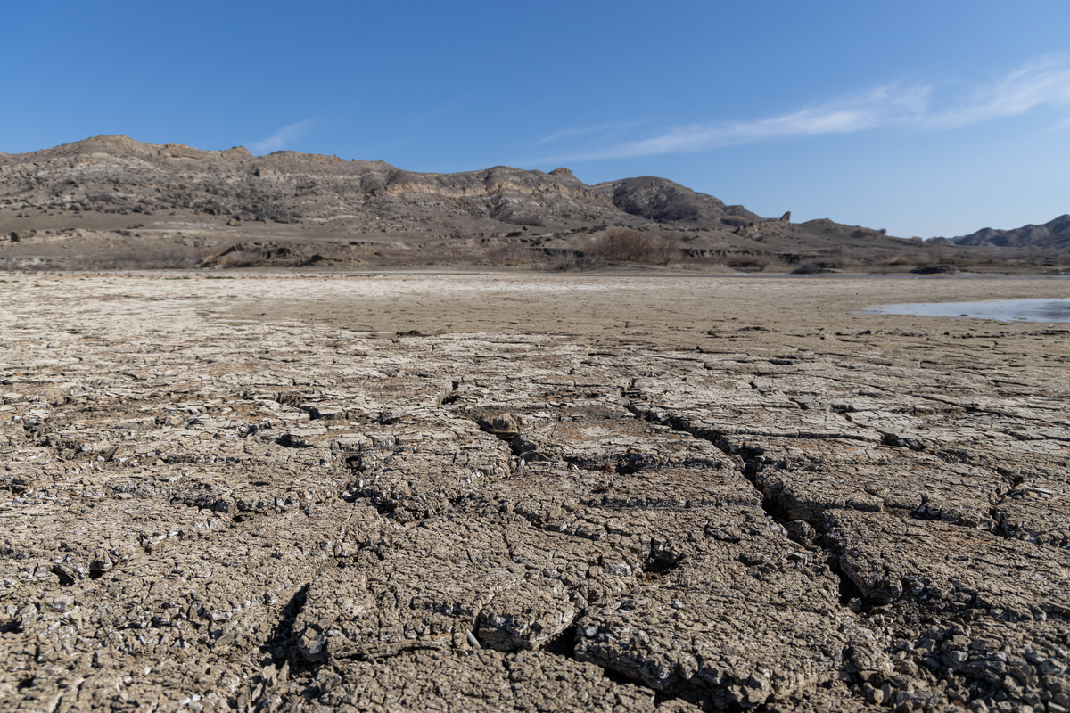 南疆盐渍土问题：挑战与应对