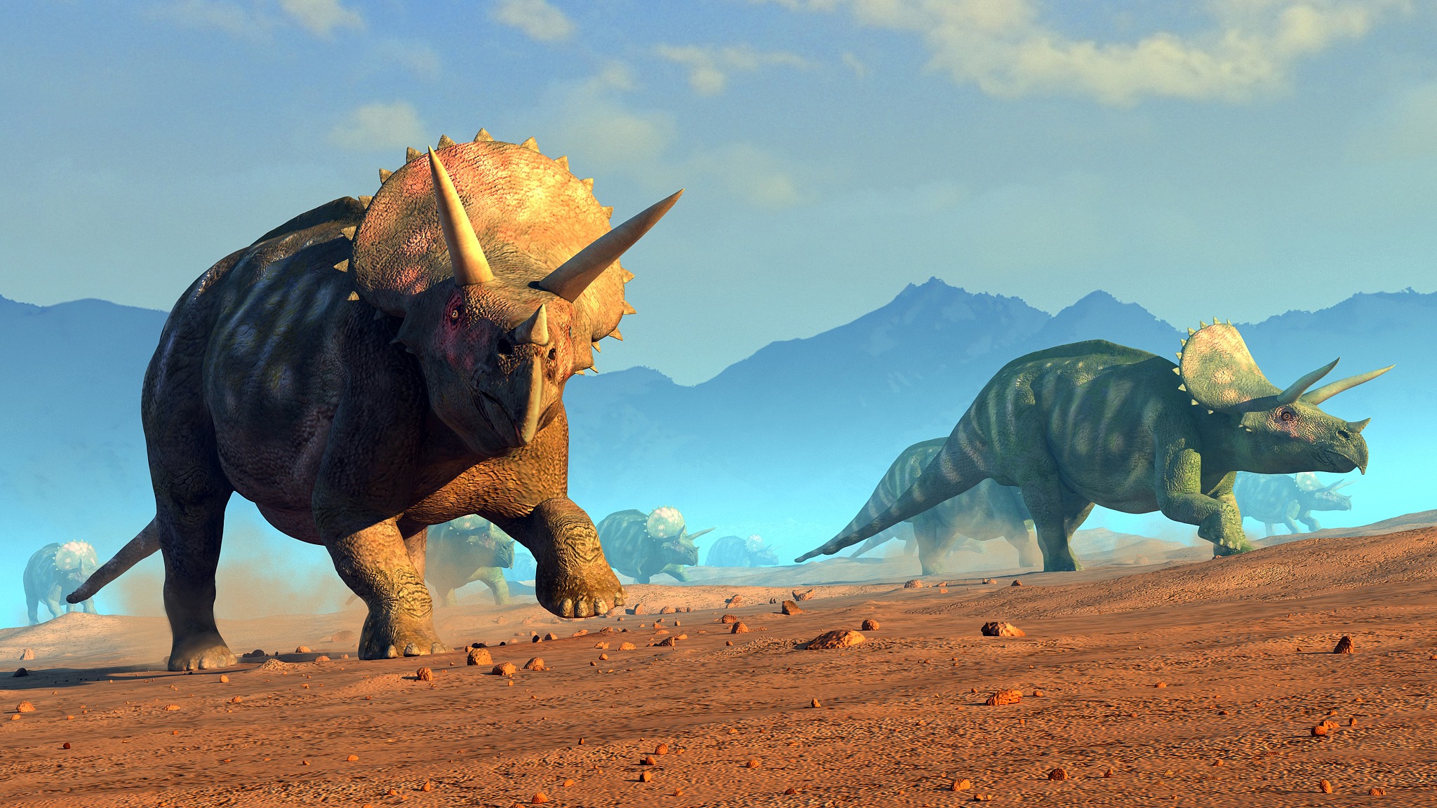 herd of triceratops, illustration