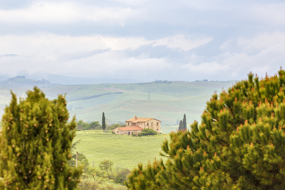 远景镜头：展现宽广辽阔场景的最佳选择