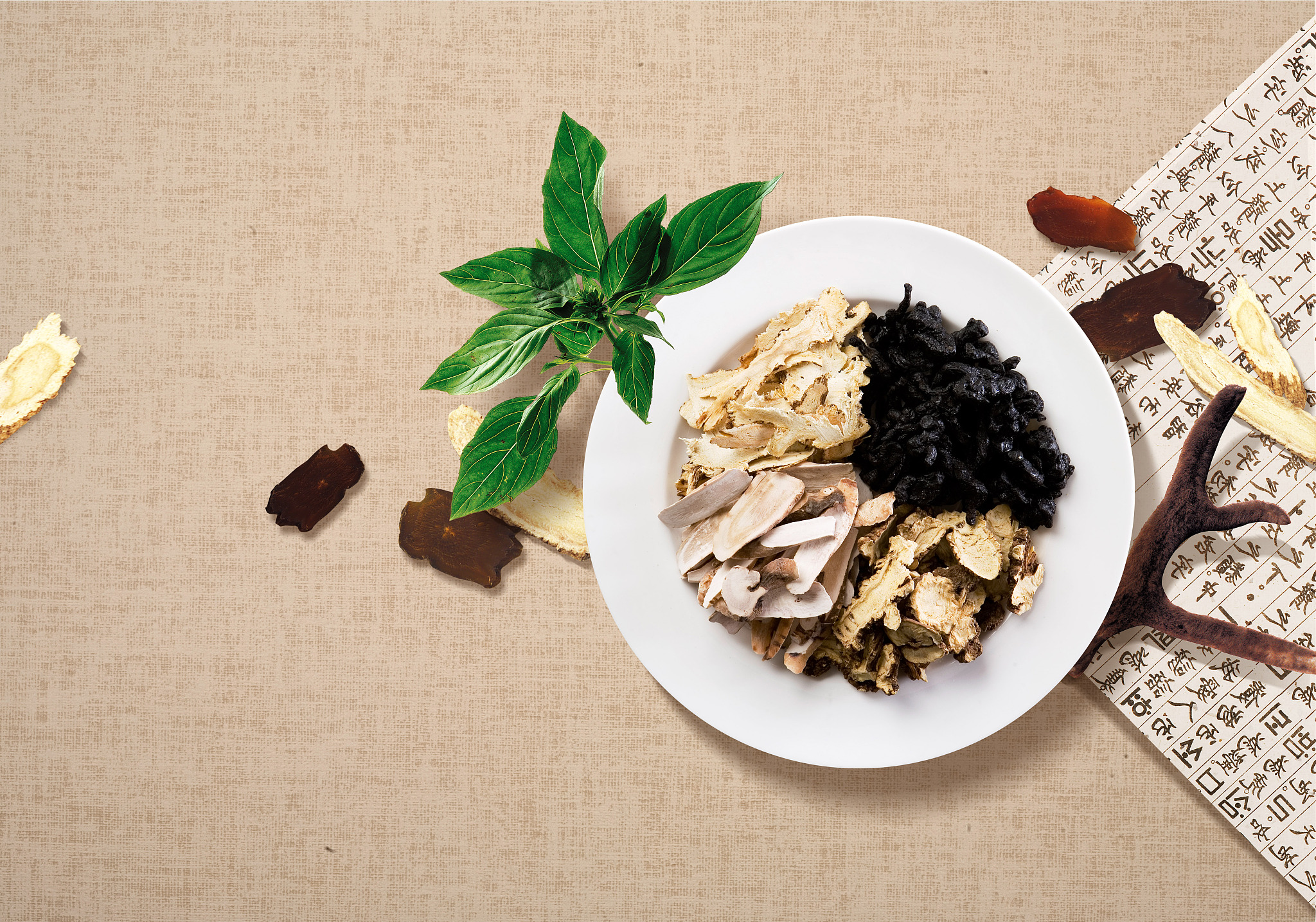 重庆卫生学校药剂专业培养要求