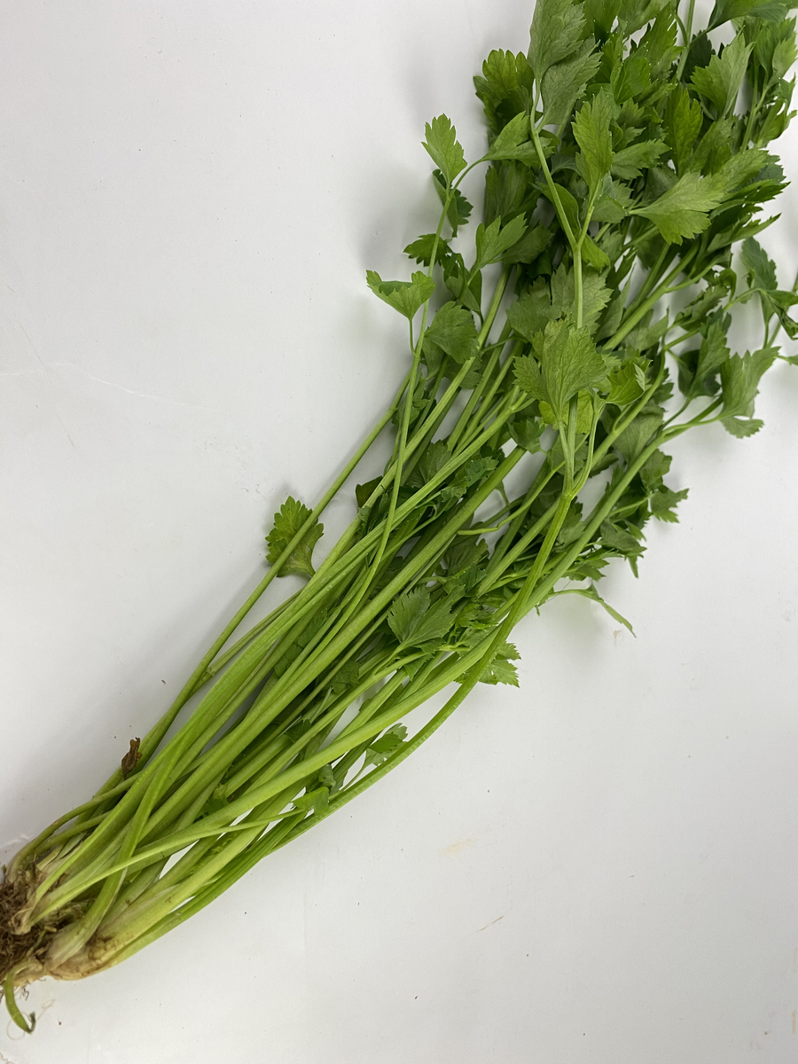 扫帚菜搭配禁忌：哪些食物不能一起吃？