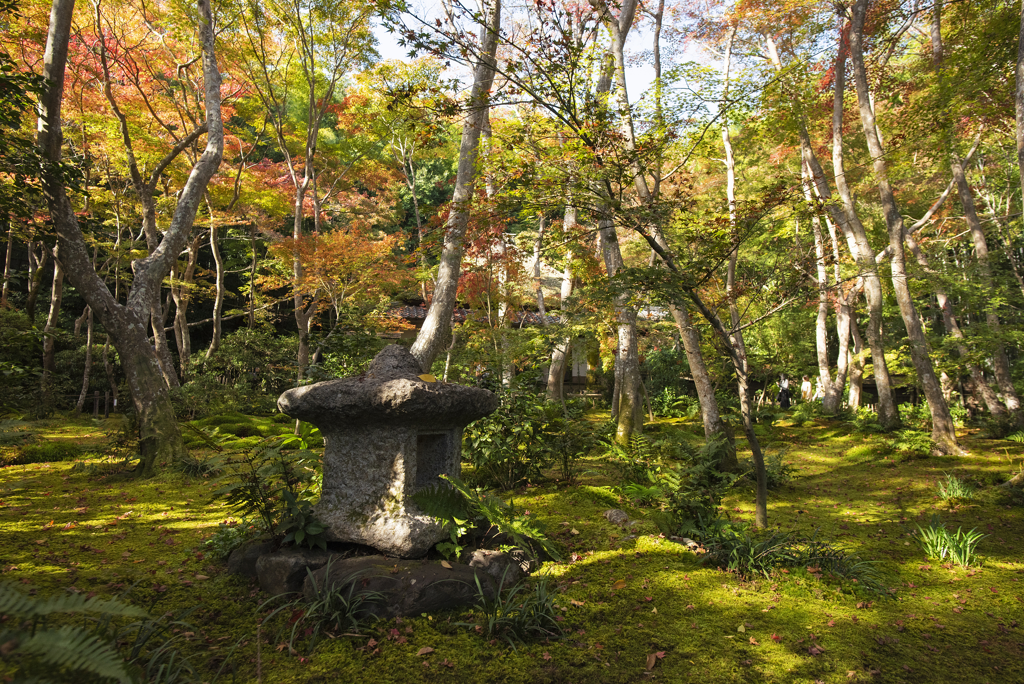 云南省林业高级技工学校园林技术专业中级专业怎么样