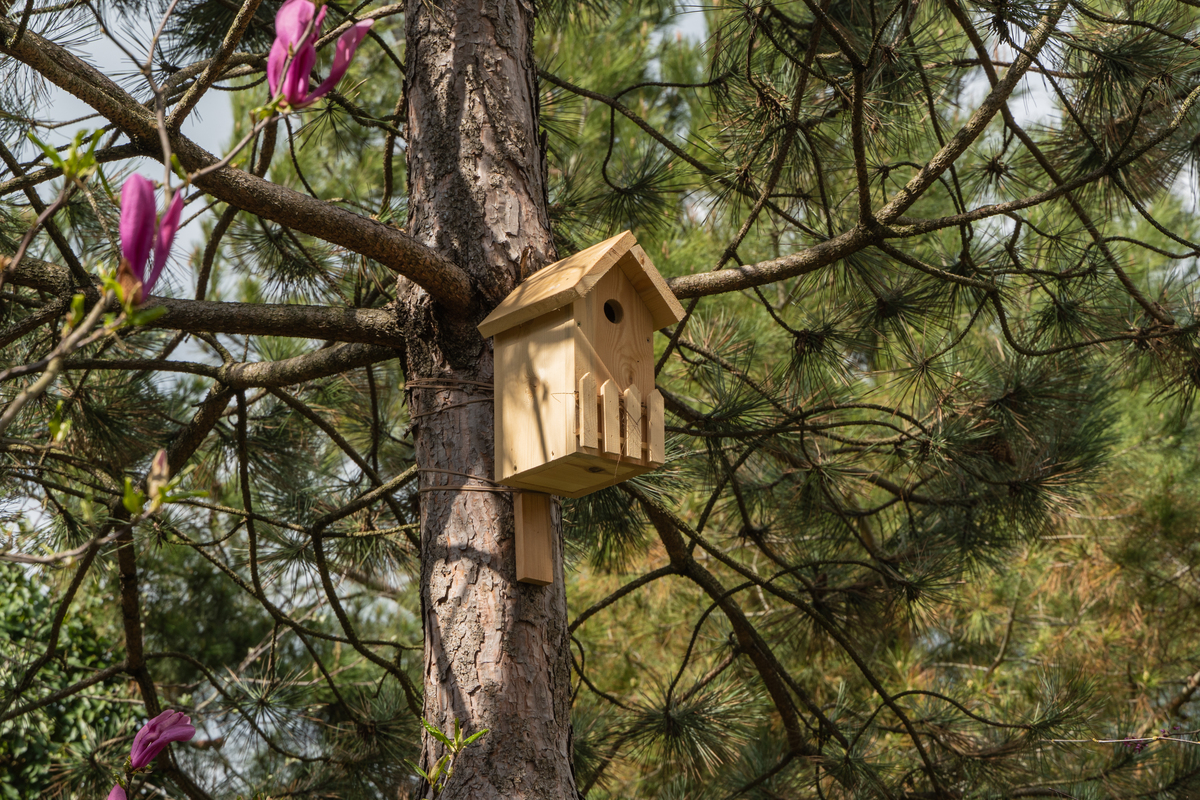 蛋壳状树屋形状的设计创意