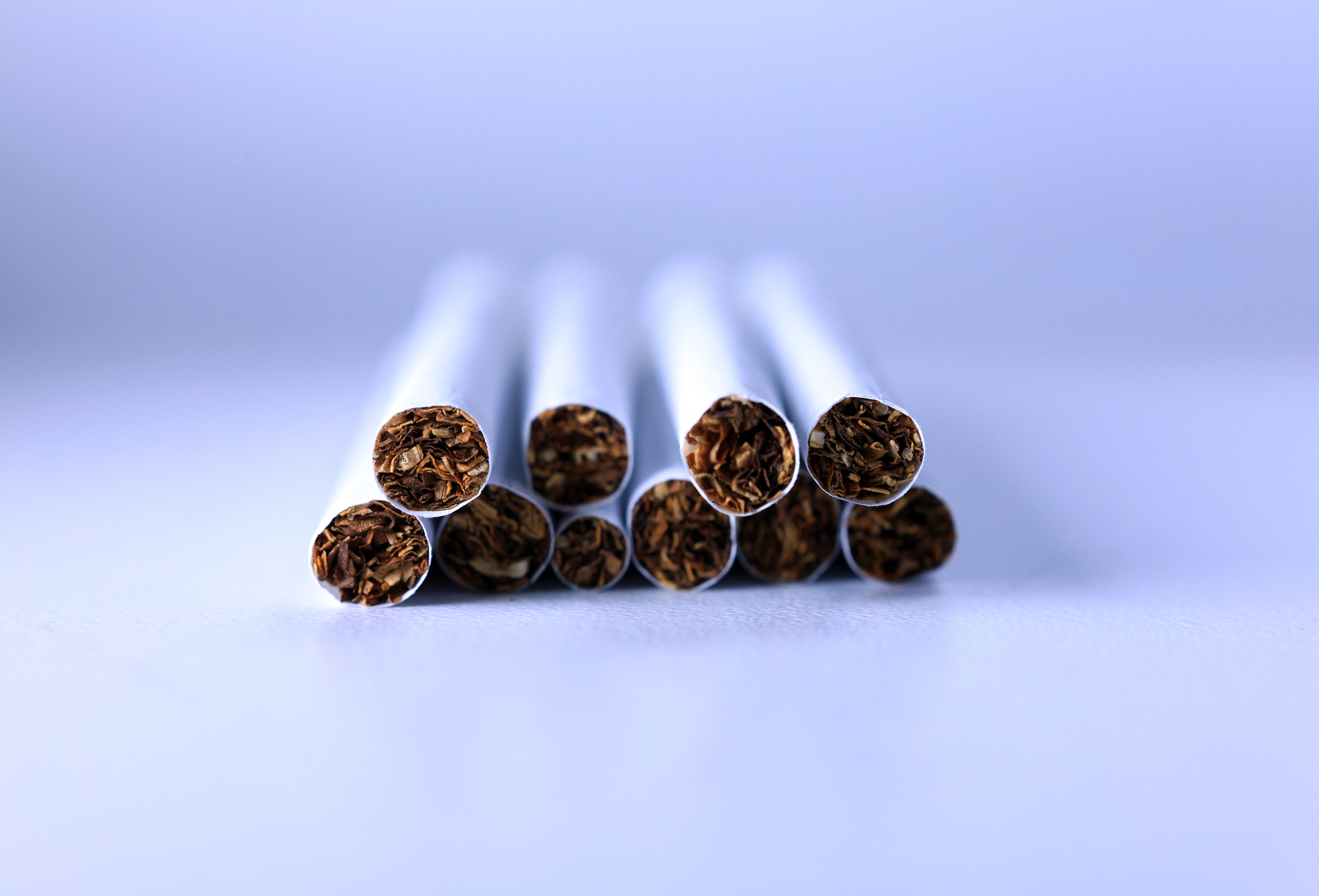 专业营养师带您开启健康生活新篇章！