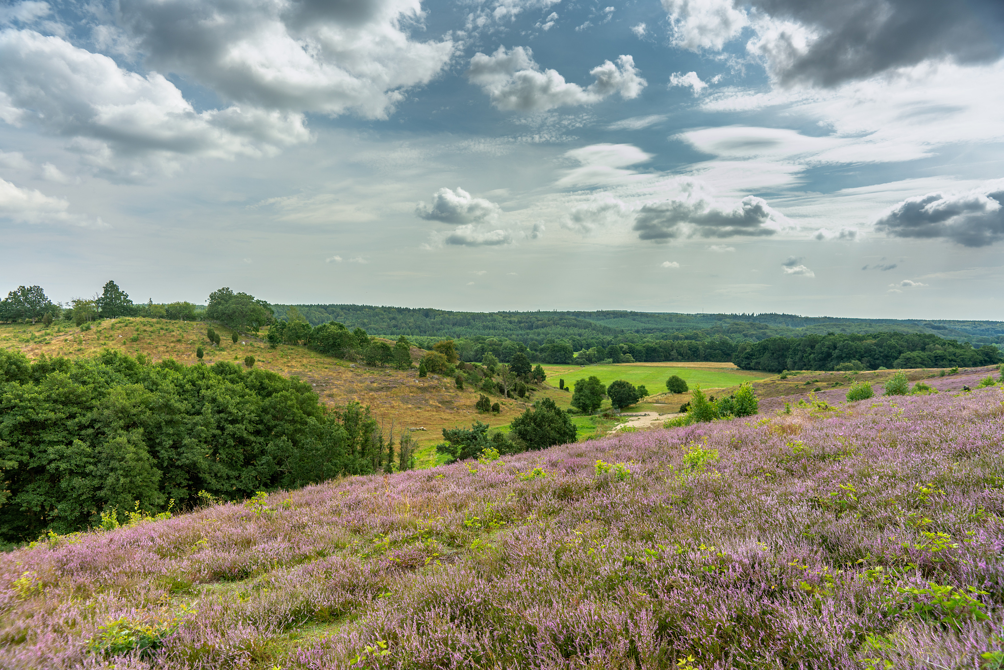 arp分组格式＂操作＂字段表示ARP回复值是