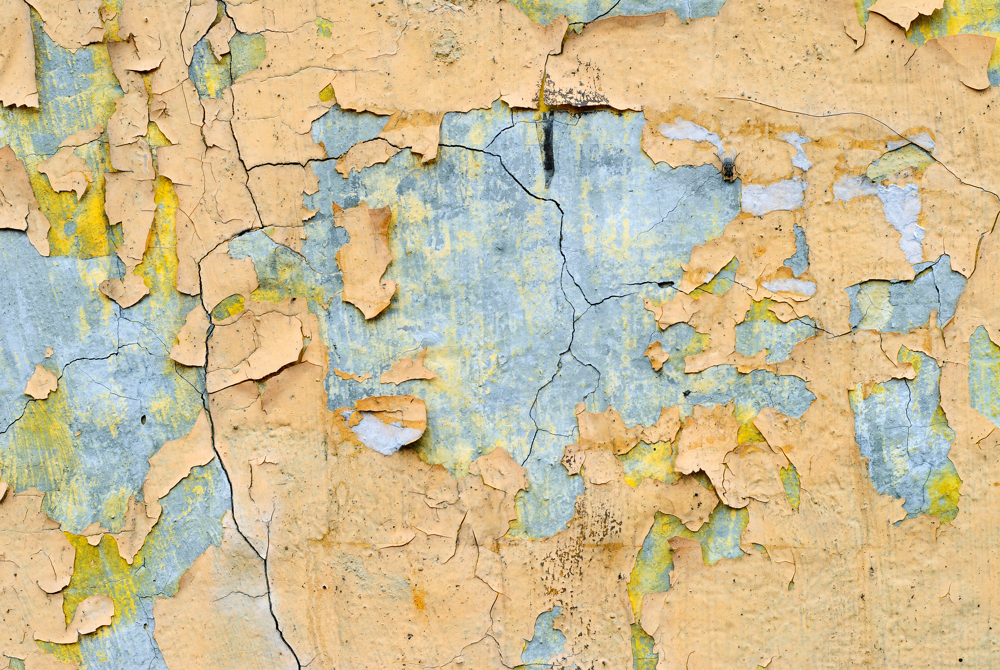 old wall