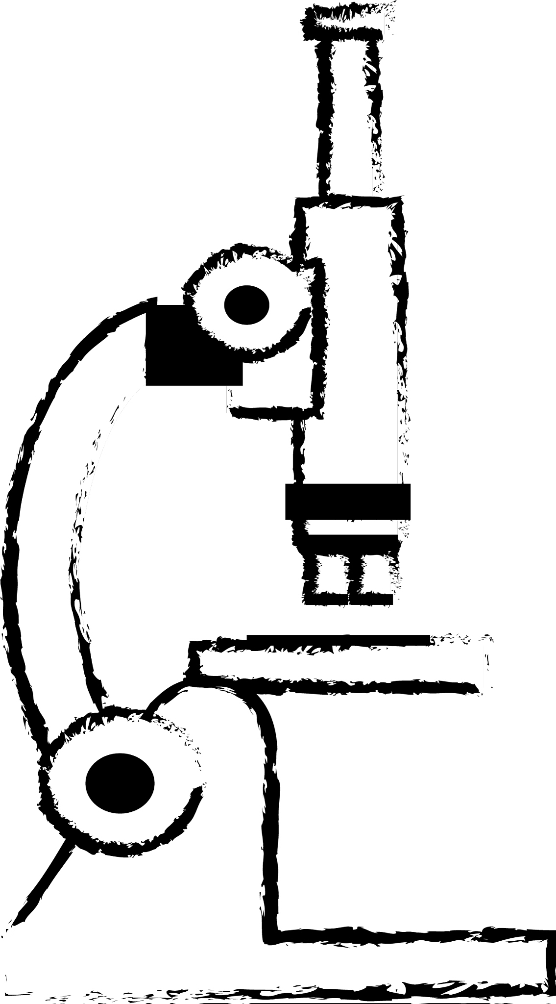 初中显微镜使用方法步骤详解 - 轻松观察微观世界