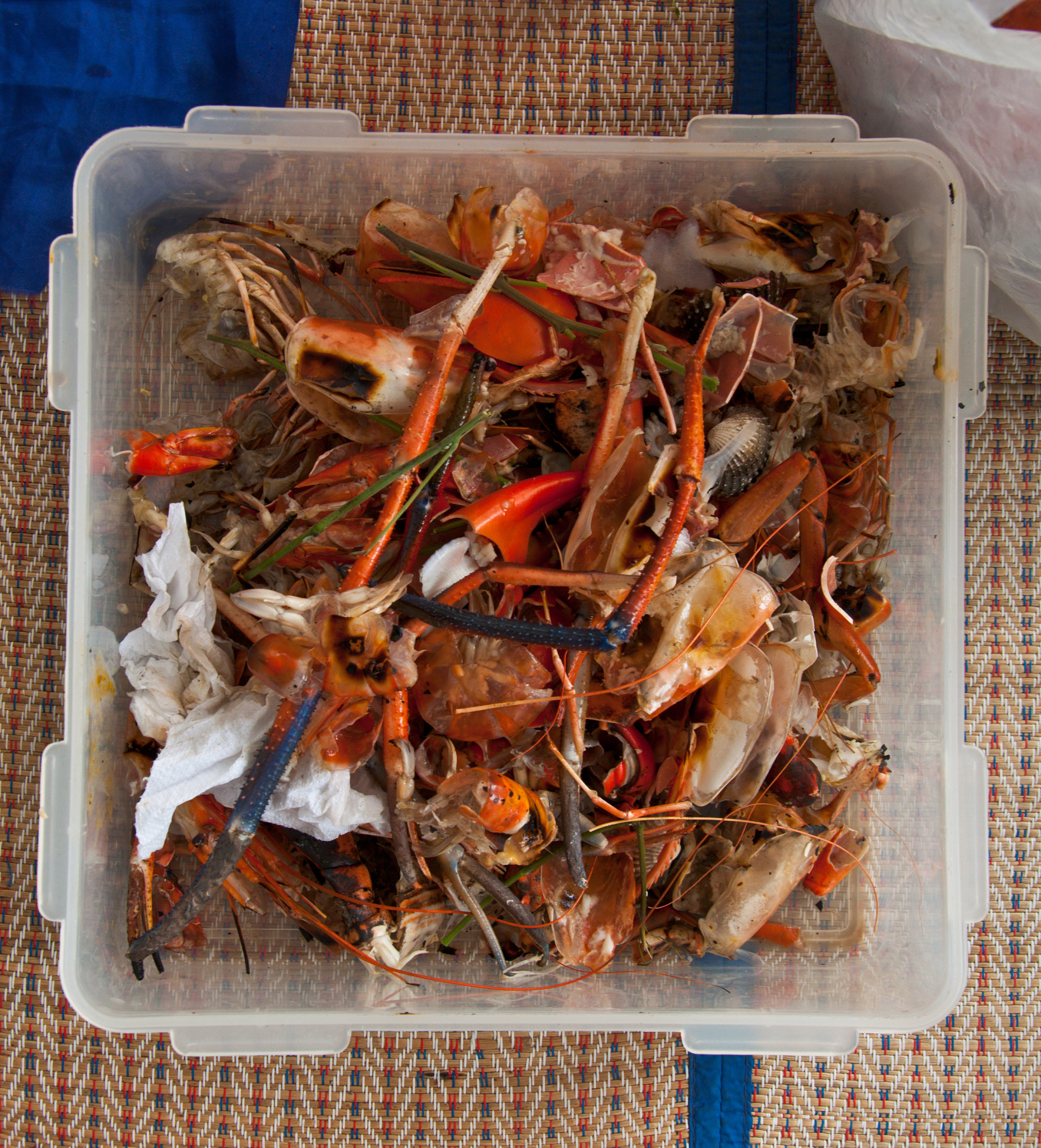 可降解生物基废渣处理方法：堆肥、生物降解、发酵等