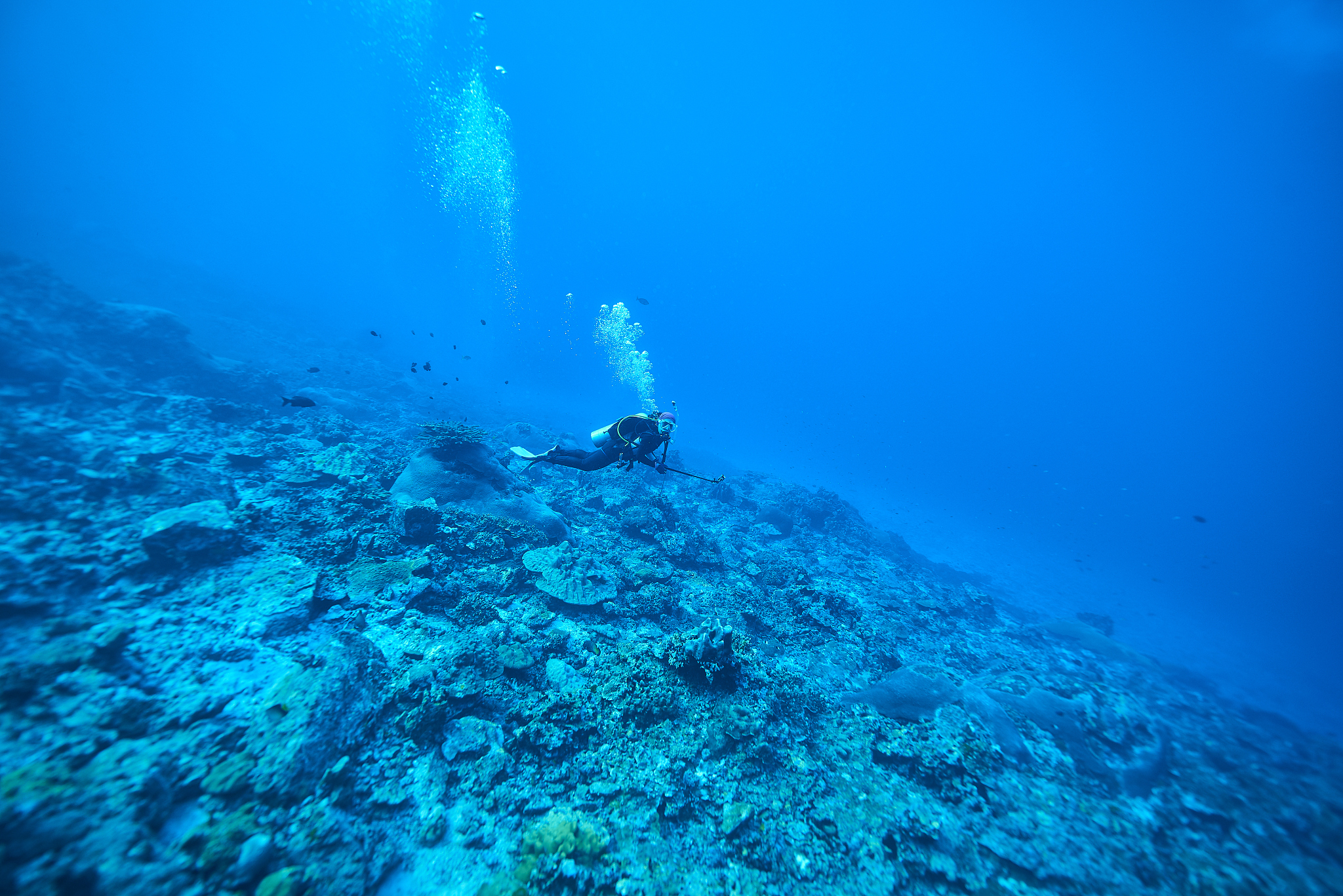 underwater