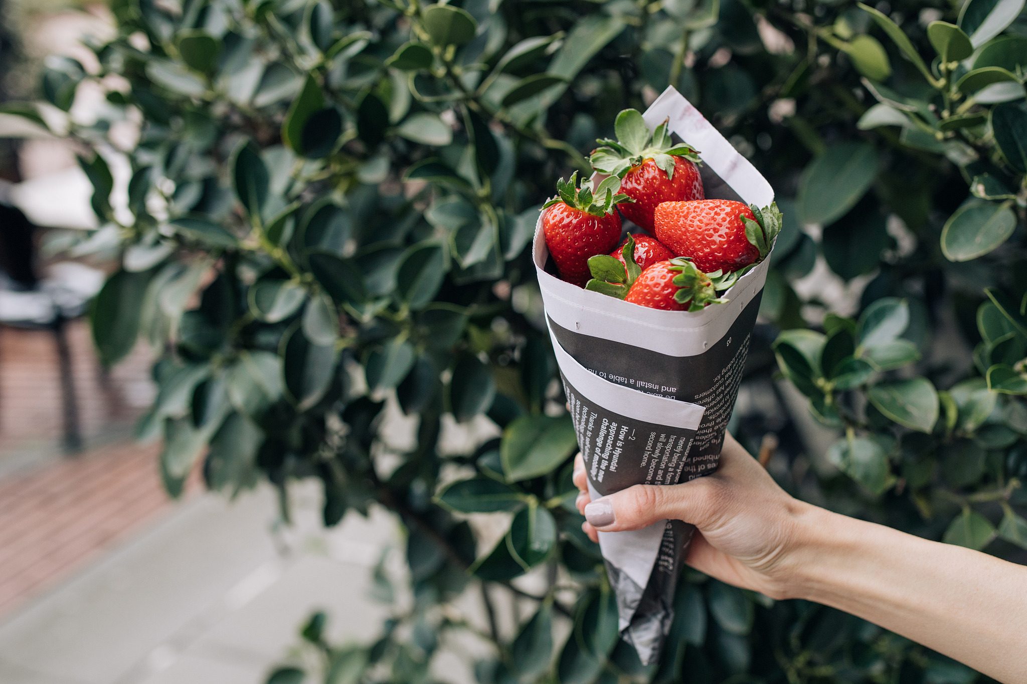 cropped hand holding strawberries in paper