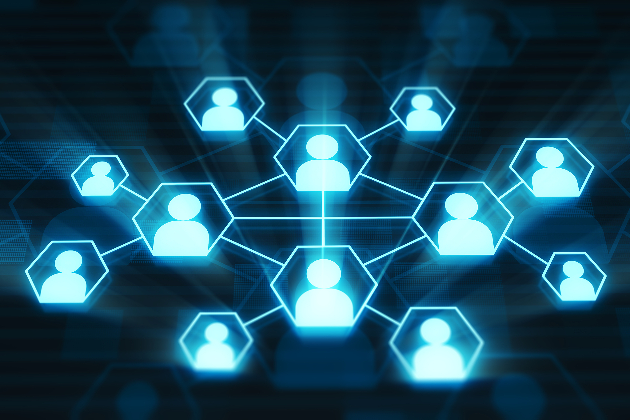 social network