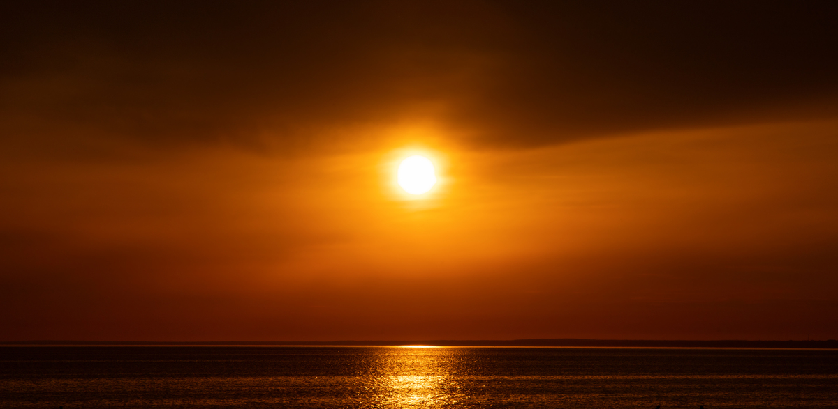 请写50字非常优美的文章