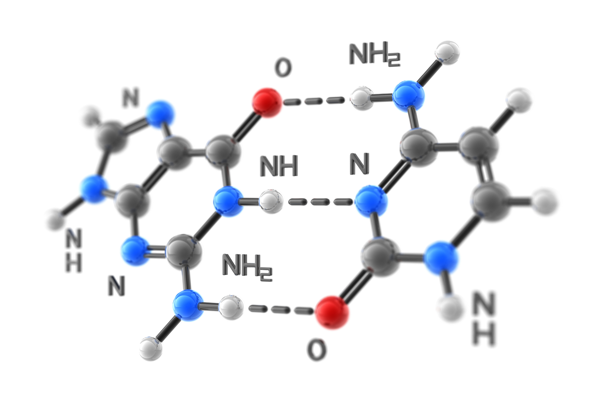 DNA由几条链组成
