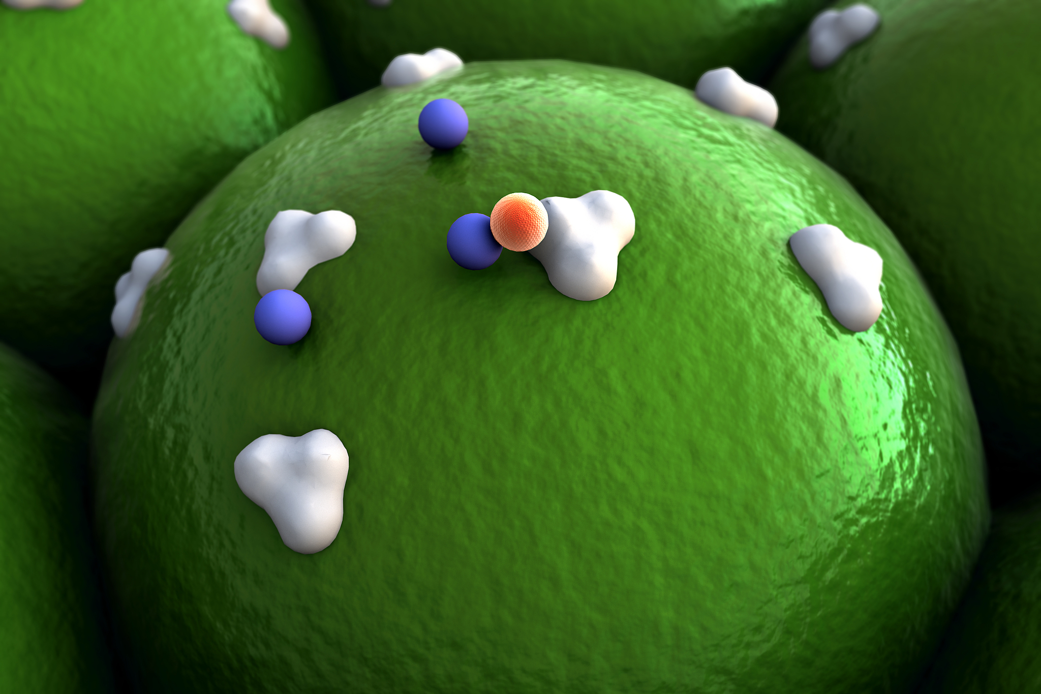 葡萄糖进出细胞：机制与作用