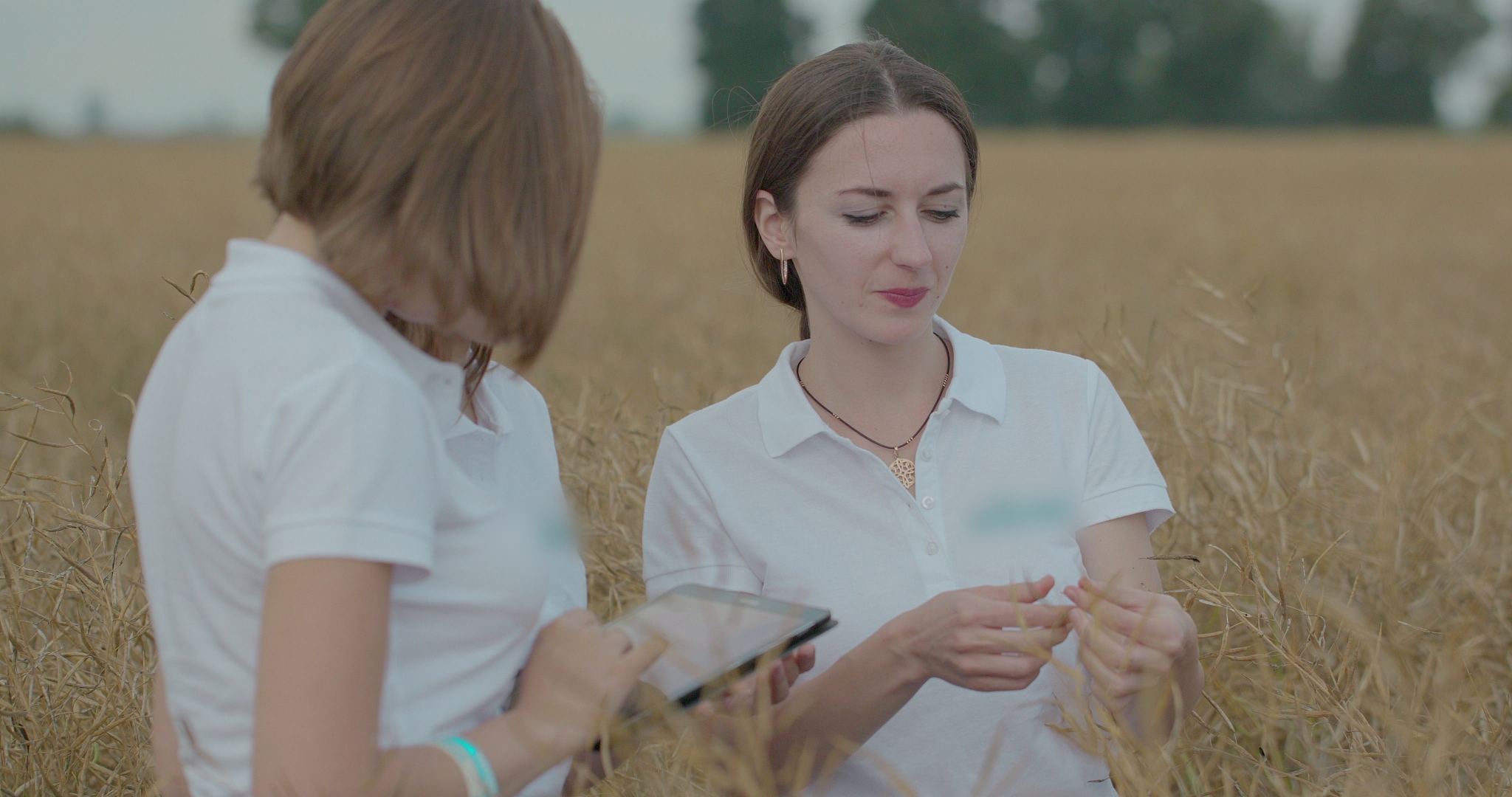 重庆农业学校2021年招生专业有哪些