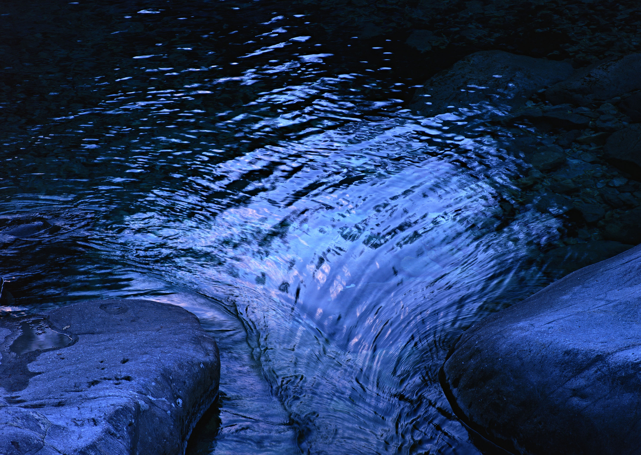 torrent