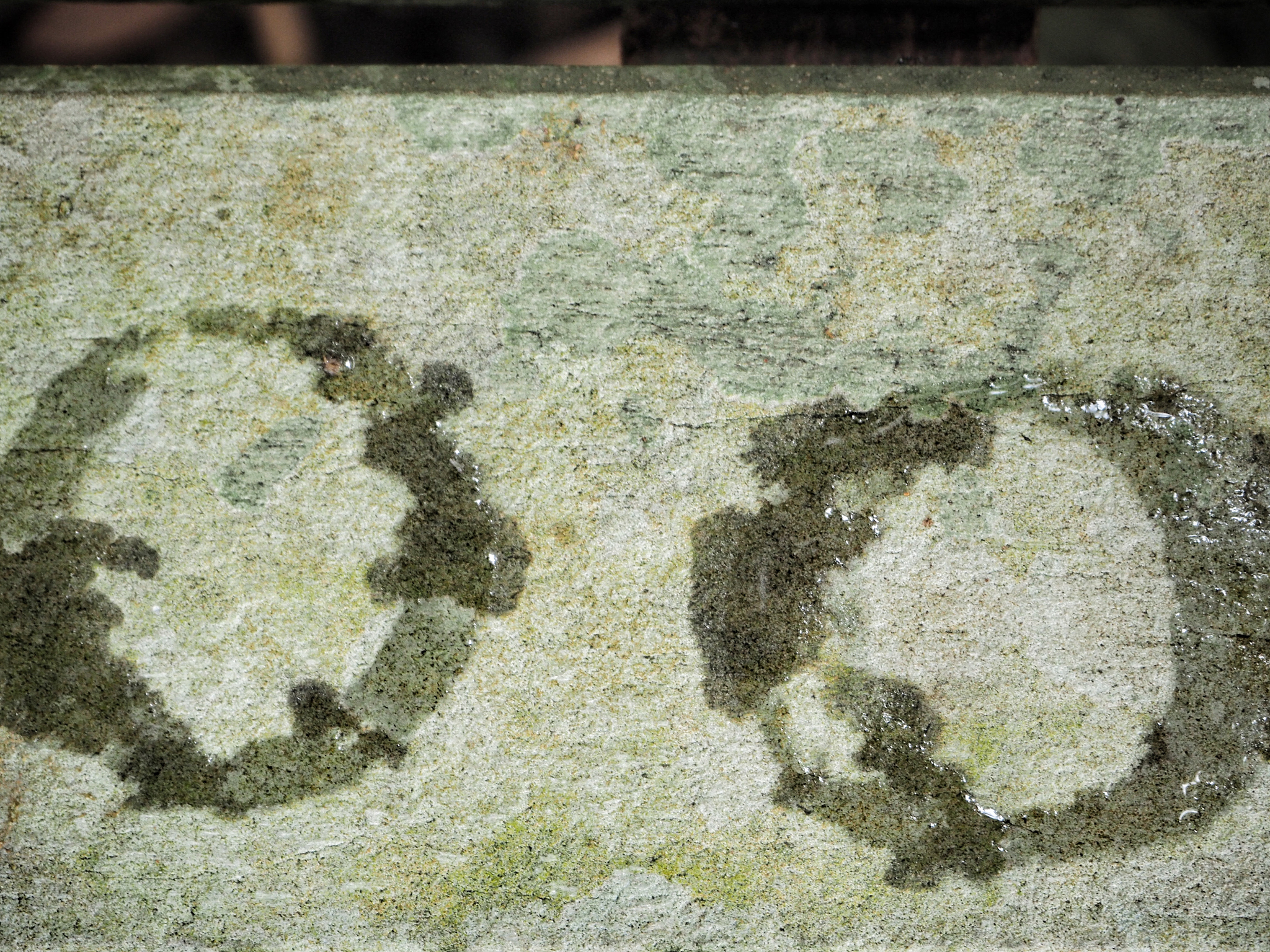 QIm sorry I do not know what you are asking Please provide more context or a specific question双肾结晶是什么原因双肾结晶通常是指在肾脏中发现的结晶体在不同的情况下可能有不同的原因。一些可能的原因包括：1 营养不良或高尿酸血症：当身体摄入过多的蛋白质和嘌呤时可能会在肾脏中形成尿酸结晶体。2 肾小管功能异常：