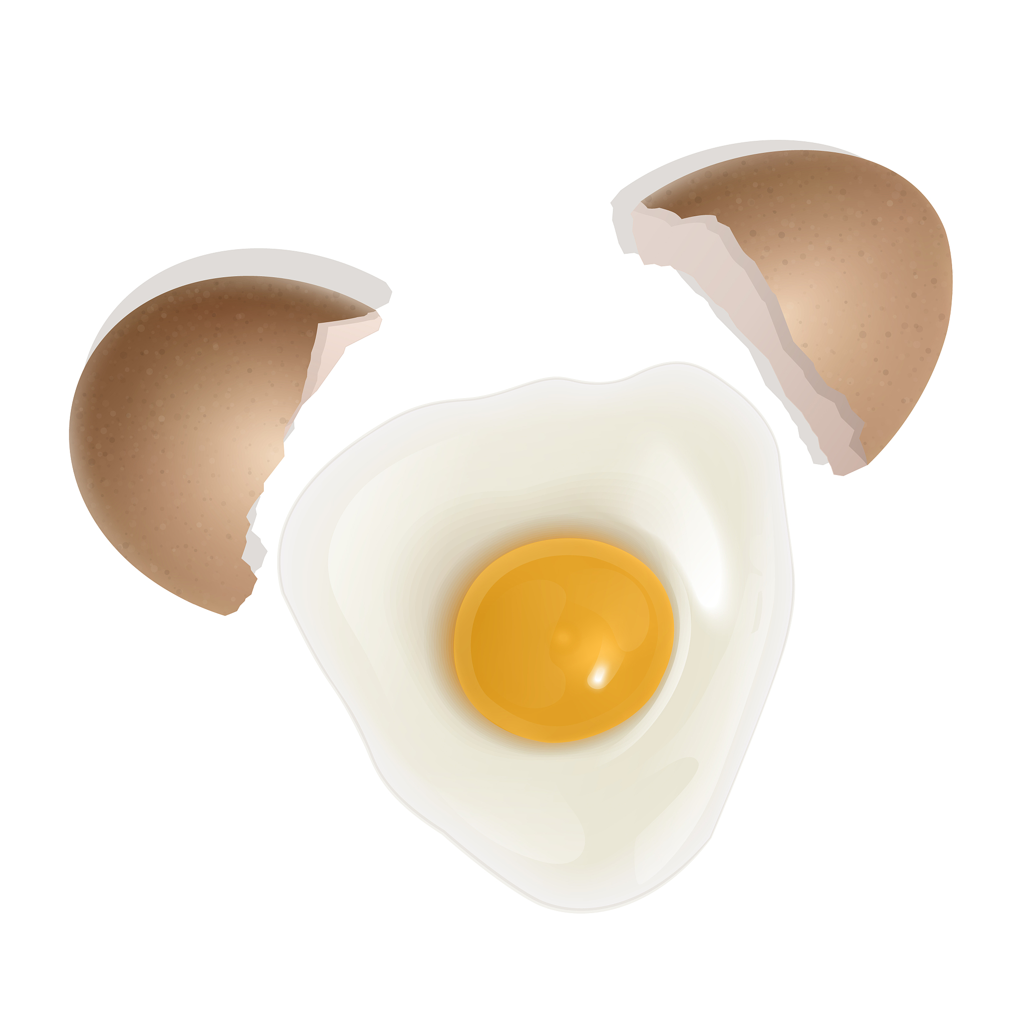 蛋白质吸收率：影响因素及提升方法