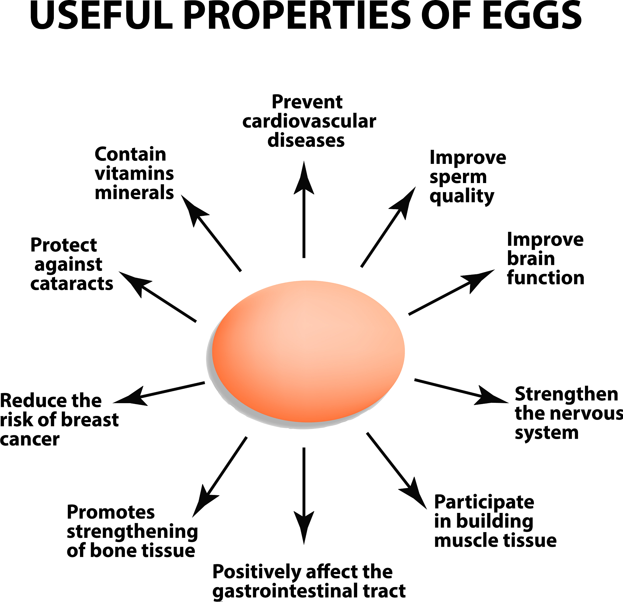 Affective Filter Hypothesis: Definition & Example