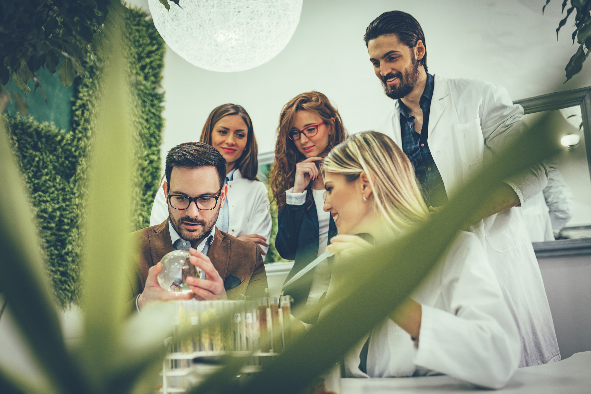 比较优势杂交育种 vs 常规杂交育种：相同点、不同点及应用场景