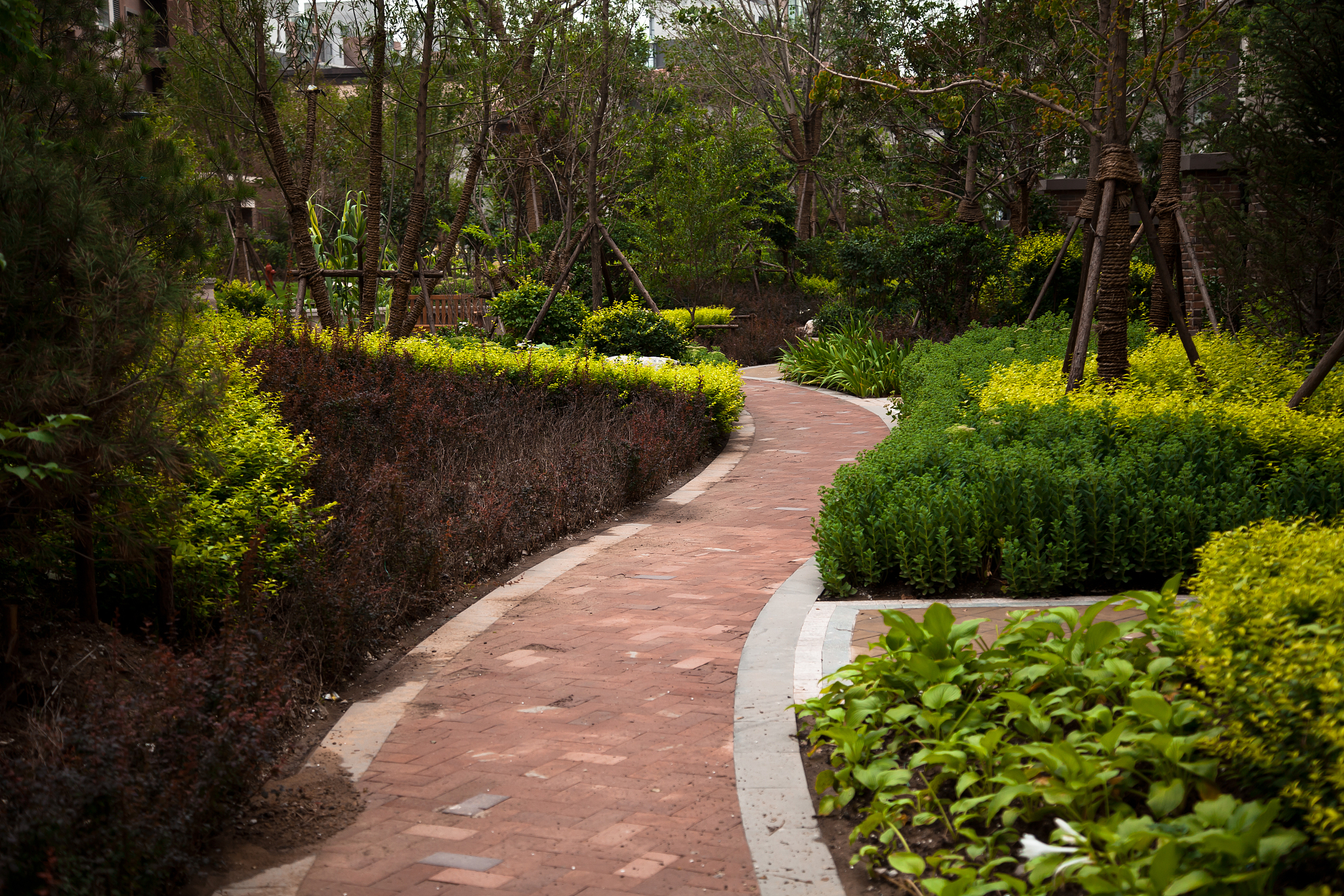 园林绿化专业发展前景如何？用