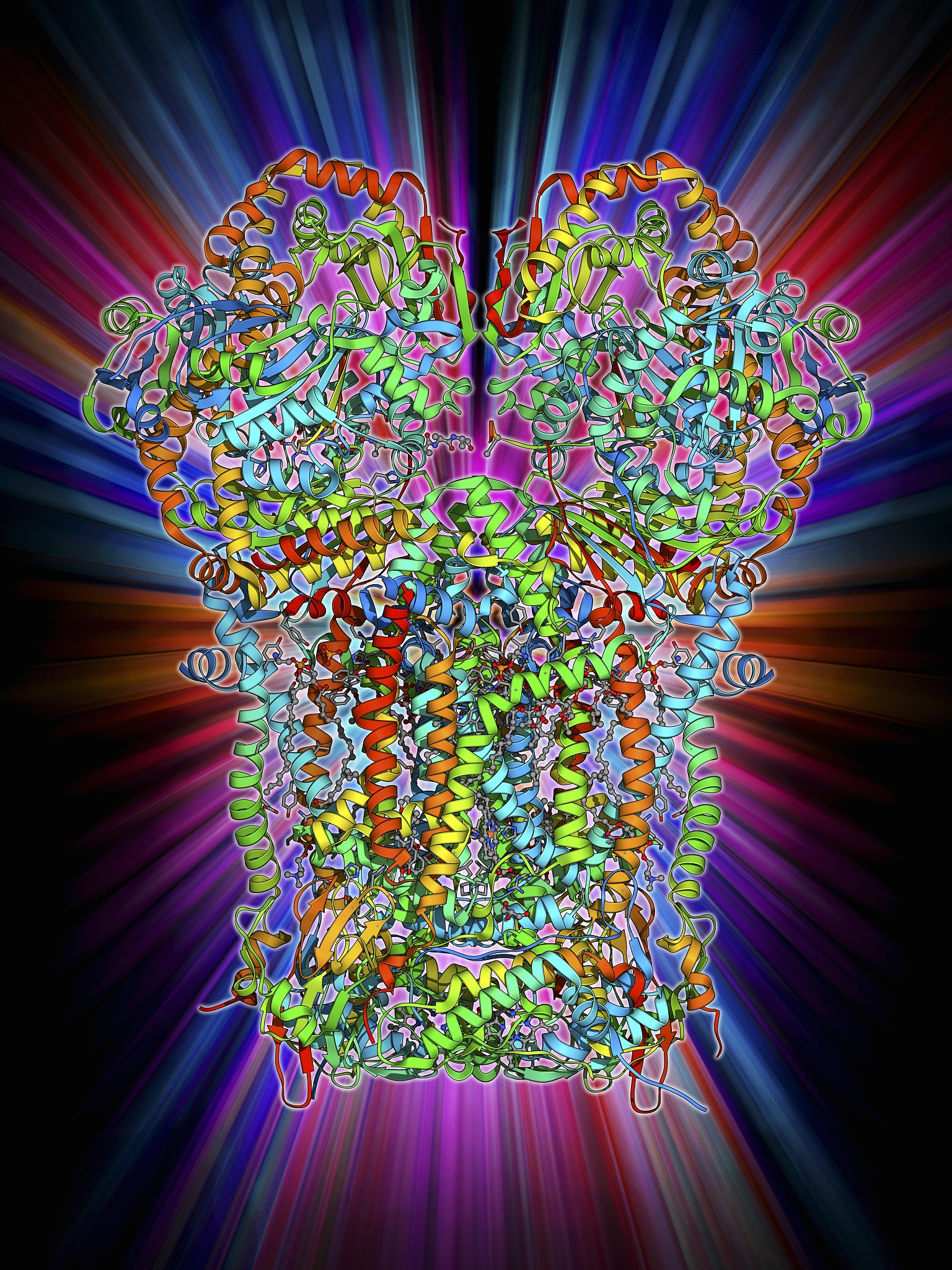 LED 行业实习报告：我的学习与成长