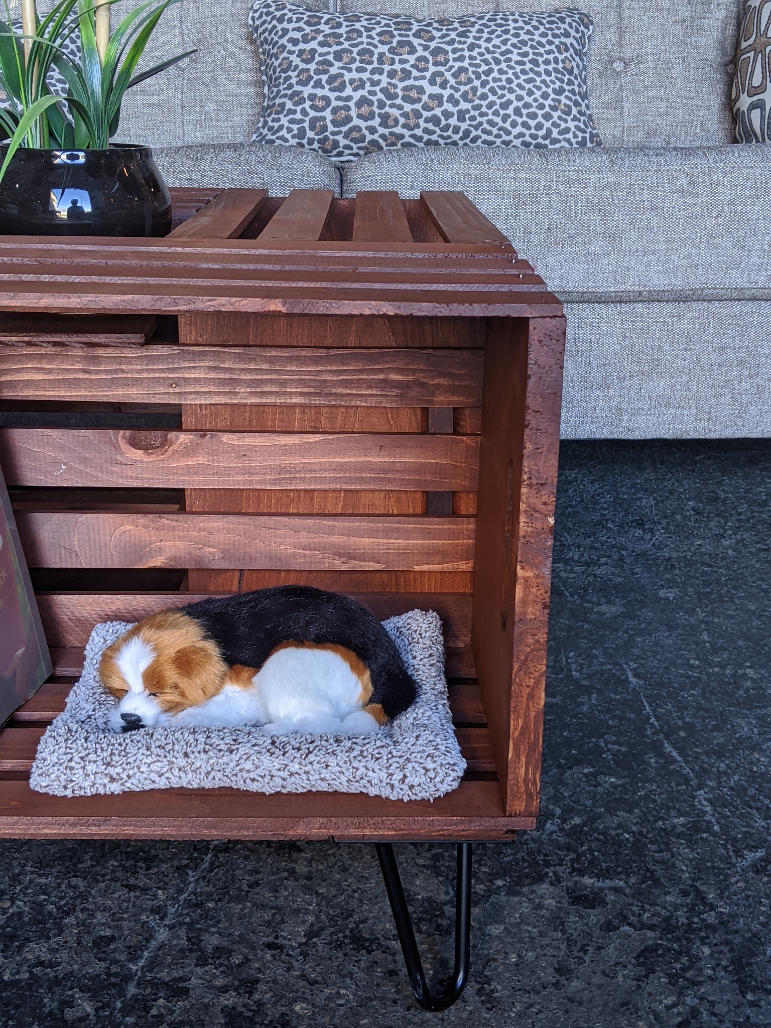 Wooden Dog Bed Frame Review: Stylish & Practical Comfort for Your Furry Friend