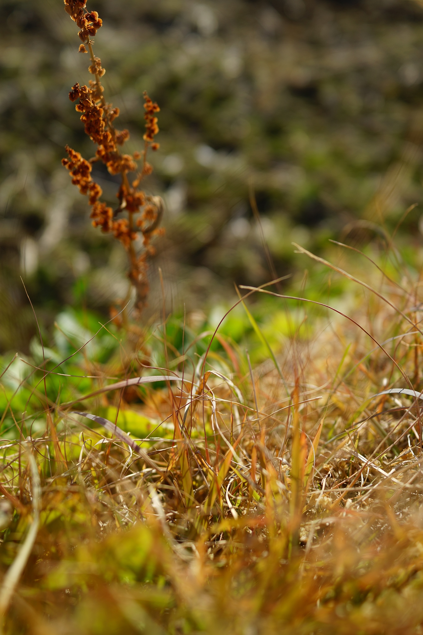 送朋友的醋放办公室一年没拿走，是嫌弃吗？
