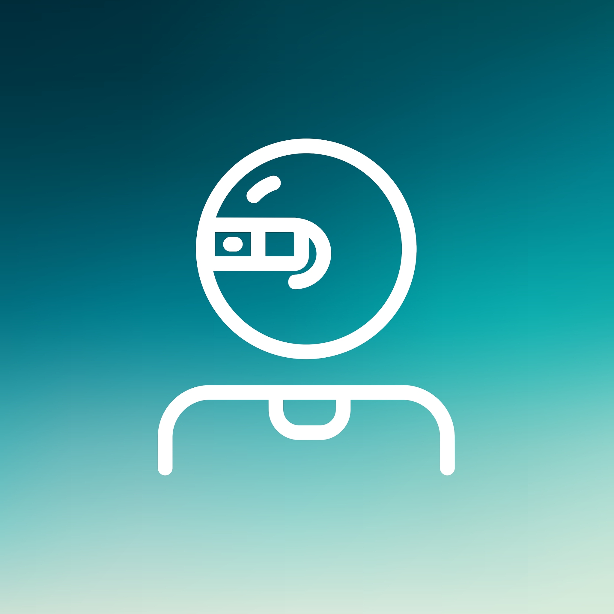 computer web camera thin line icon