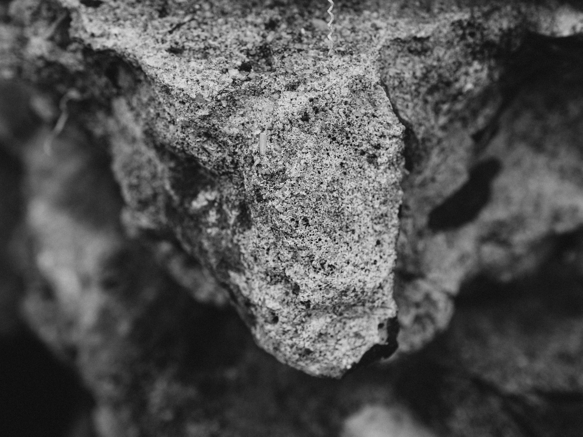 高比表面积材料的坍塌问题：以MgF2为例