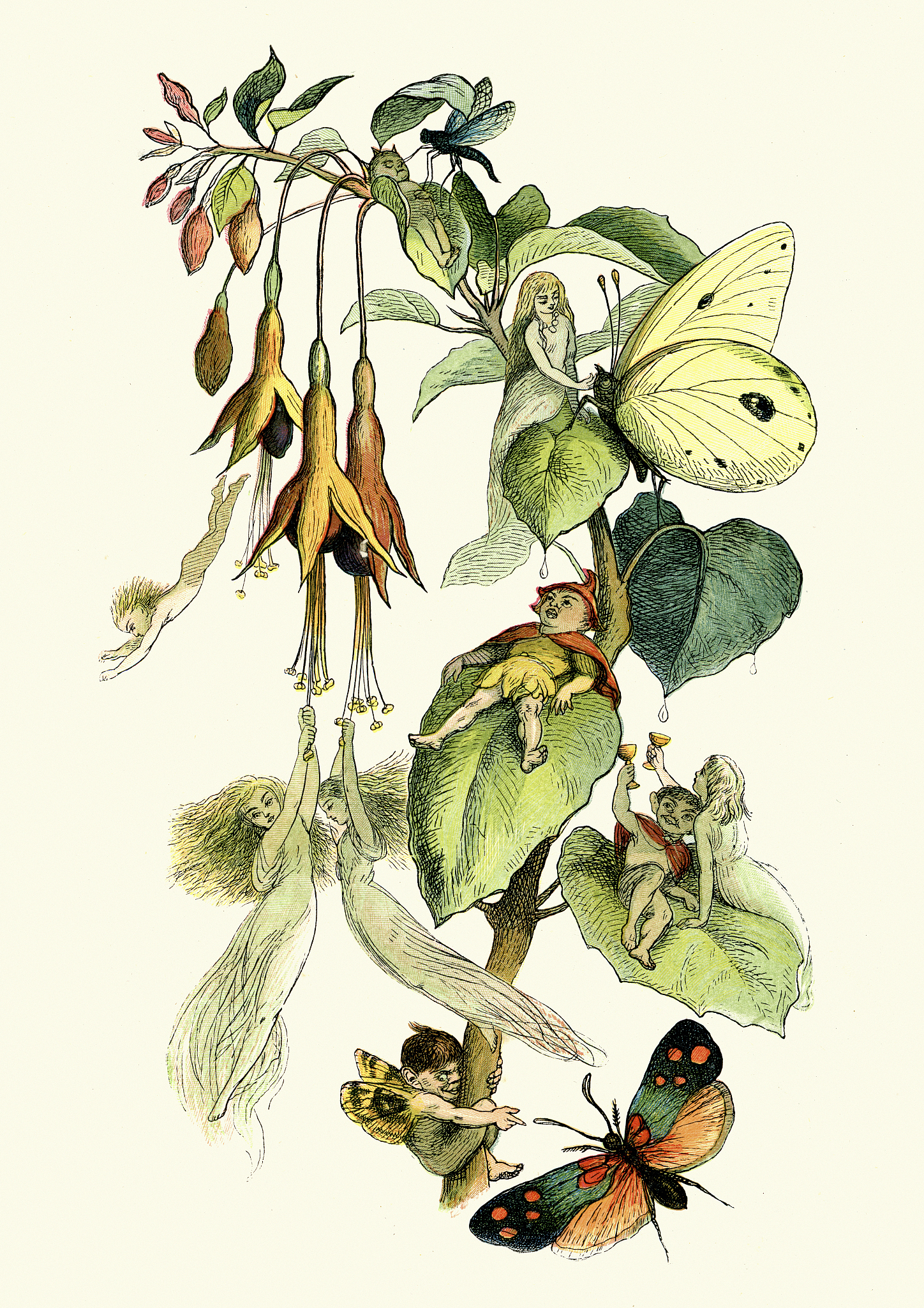 小明和蝴蝶的故事：关于自由和坚持的小故事