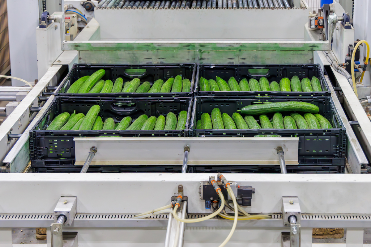 农产品保鲜与加工专业从事哪些工作