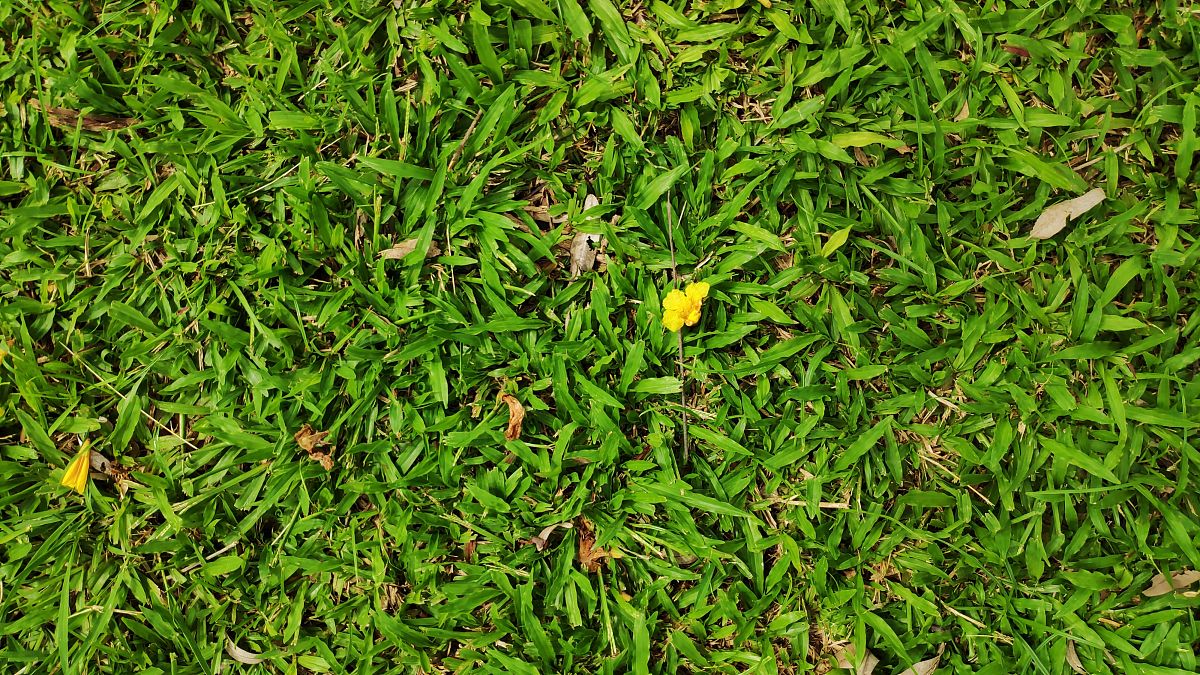 弱电项目工程清单多媒体箱尺寸回答+拓展