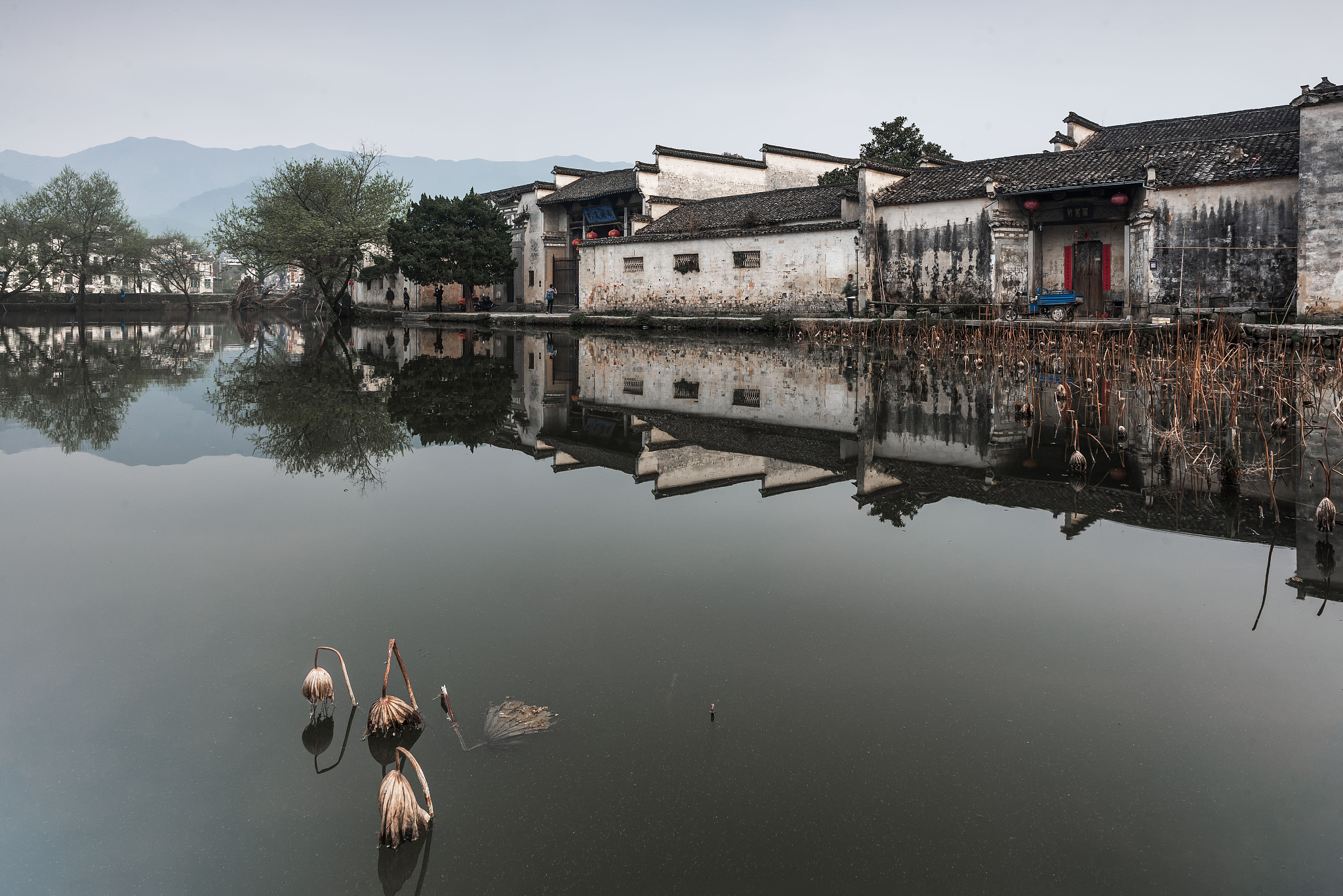 宏村旅游攻略：徽派建筑、山水美景、民俗文化体验 - 100字介绍