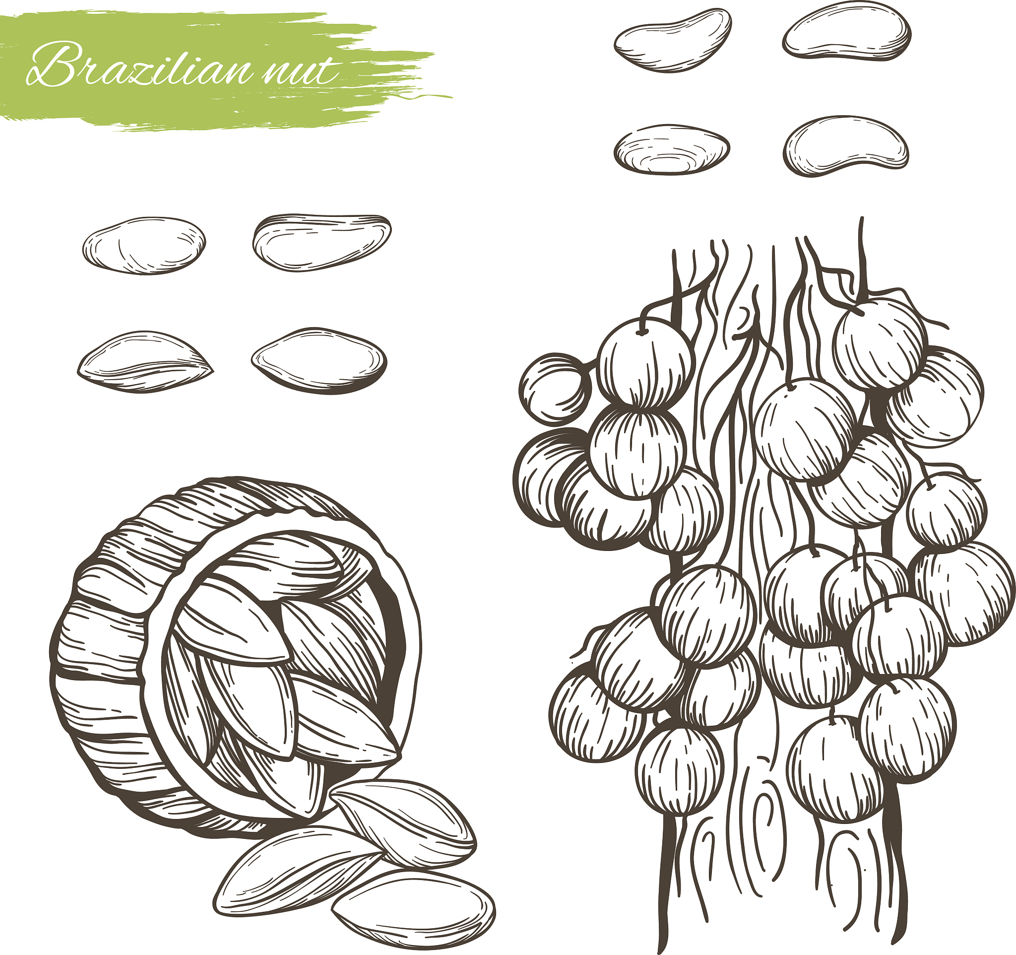 氢氧化钠：碱性物质的用途和特性