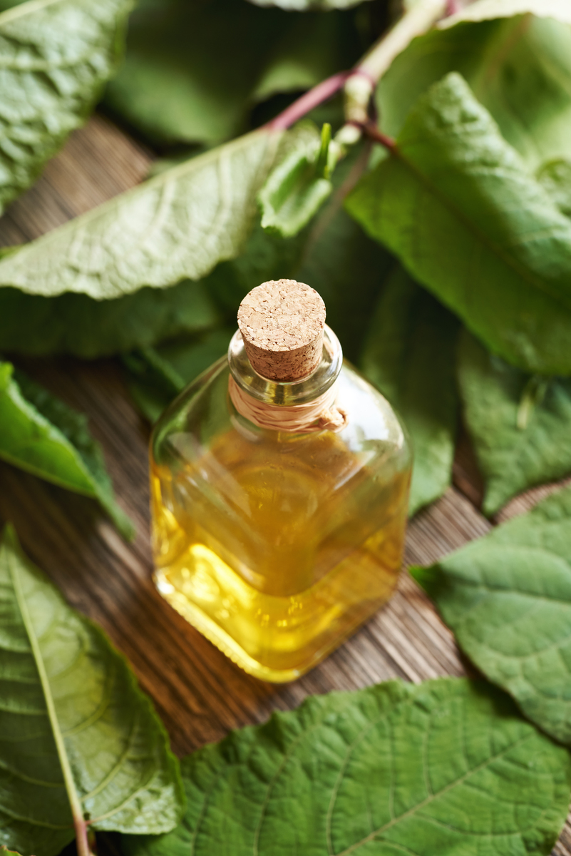 近年来越来越多人喜欢购买香氛不单单是为了好闻的味道更重要的是香氛能提升生活的幸福感有疗愈心灵的作用。在快节奏的生活和工作中常常让人感到压力和焦虑买一瓶香氛放在家中在淡淡的沁香中优哉游哉的享受惬意的慵懒时光才是最浪漫而又温馨的时刻。香氛不仅能够更好地让你放松身心也能让小窝更温馨为你的生活增添一点点小小的仪式感。香味很能体现个人品味选择适合自己的香氛非常重要西兰香氛是由国际调香大师特调的香水它添加了1