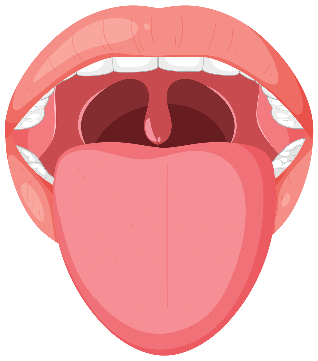 早上起床舌苔泛白是怎么回事？原因分析及应对措施