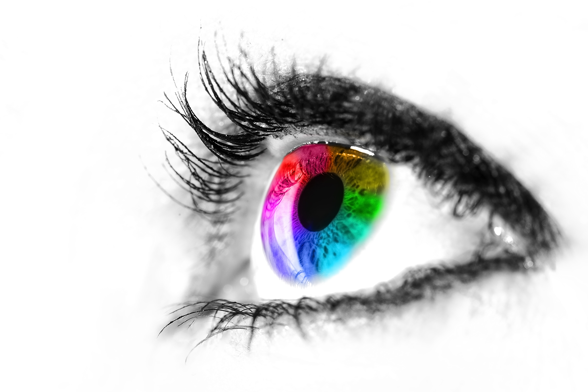 eye macro in high key black and white with colourful rainbow in 