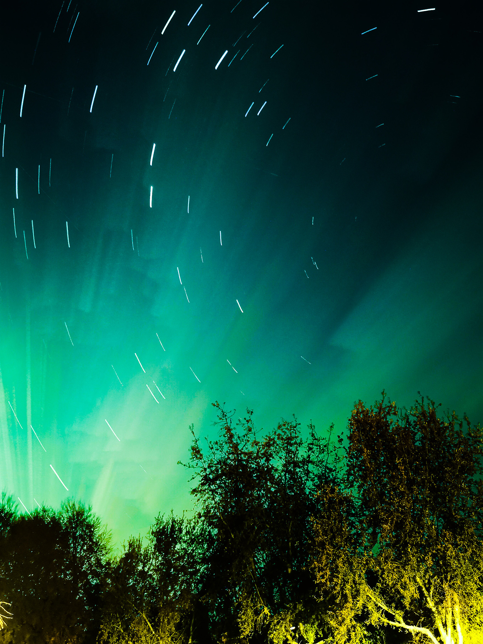 农业和森林气象学期刊推荐：AGRICULTURAL AND FOREST METEOROLOGY