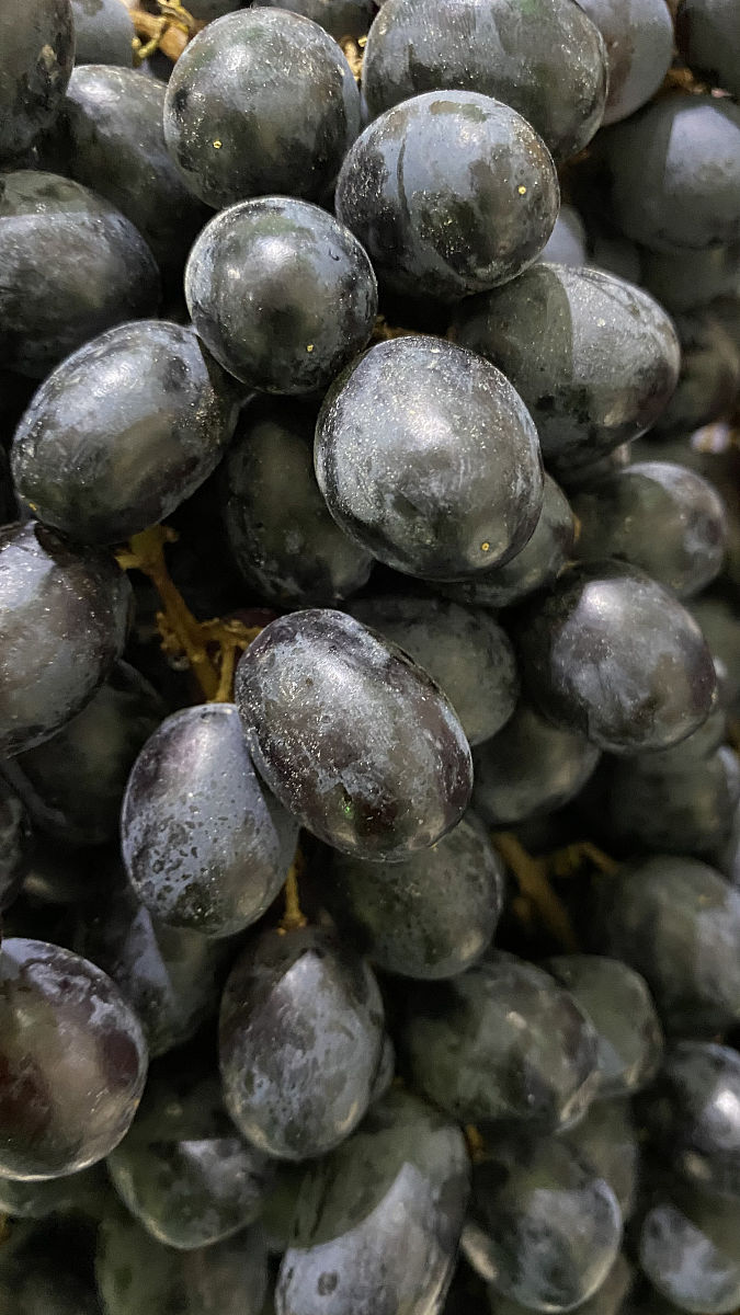 葡萄皮煮水喝有什么功效和禁忌