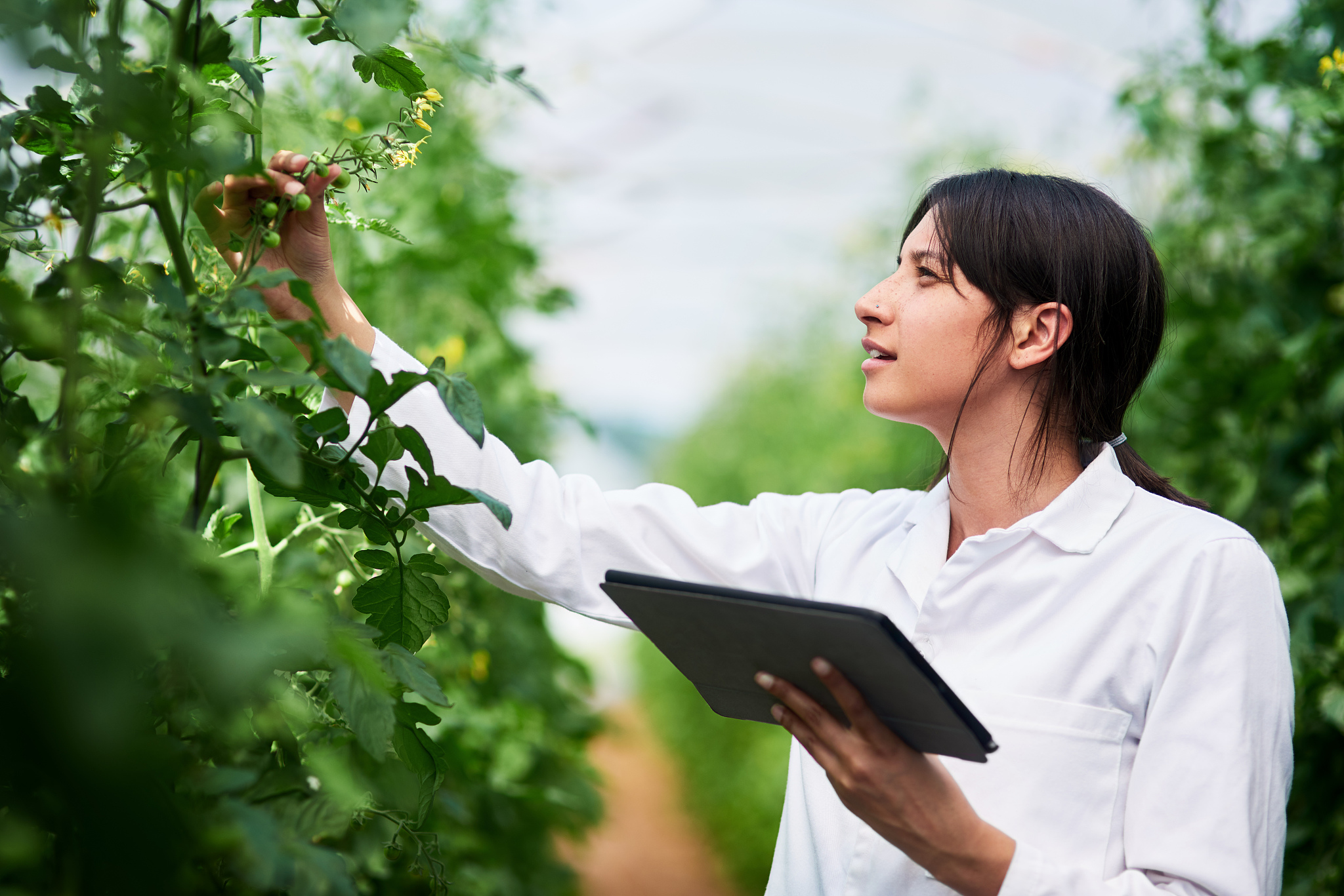 黑龙江林业职业技术学院园林技术专业就业前景如何